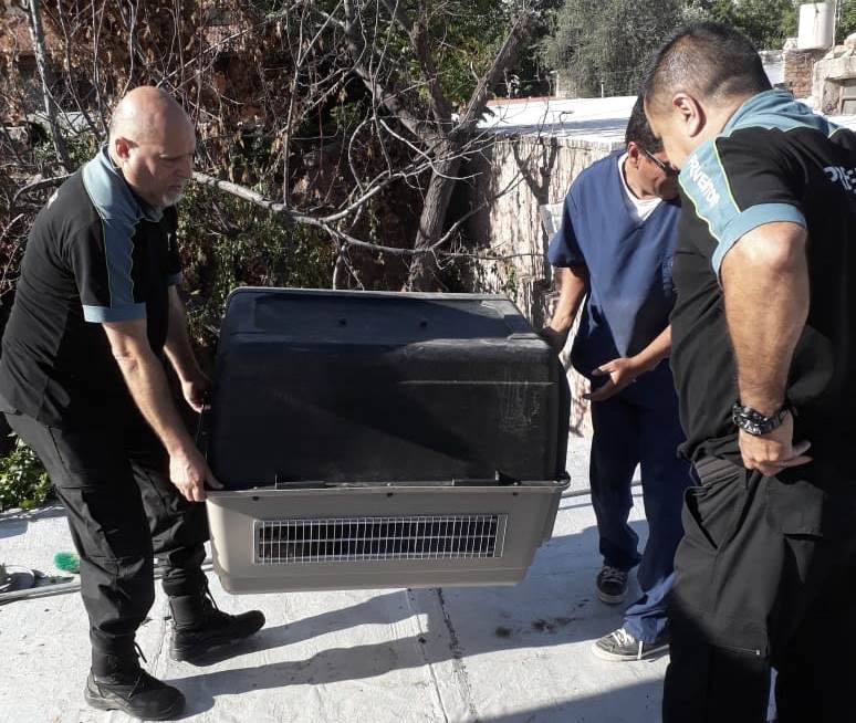 Agentes municipales rescatan al perro que estaba encerrado en la vivienda