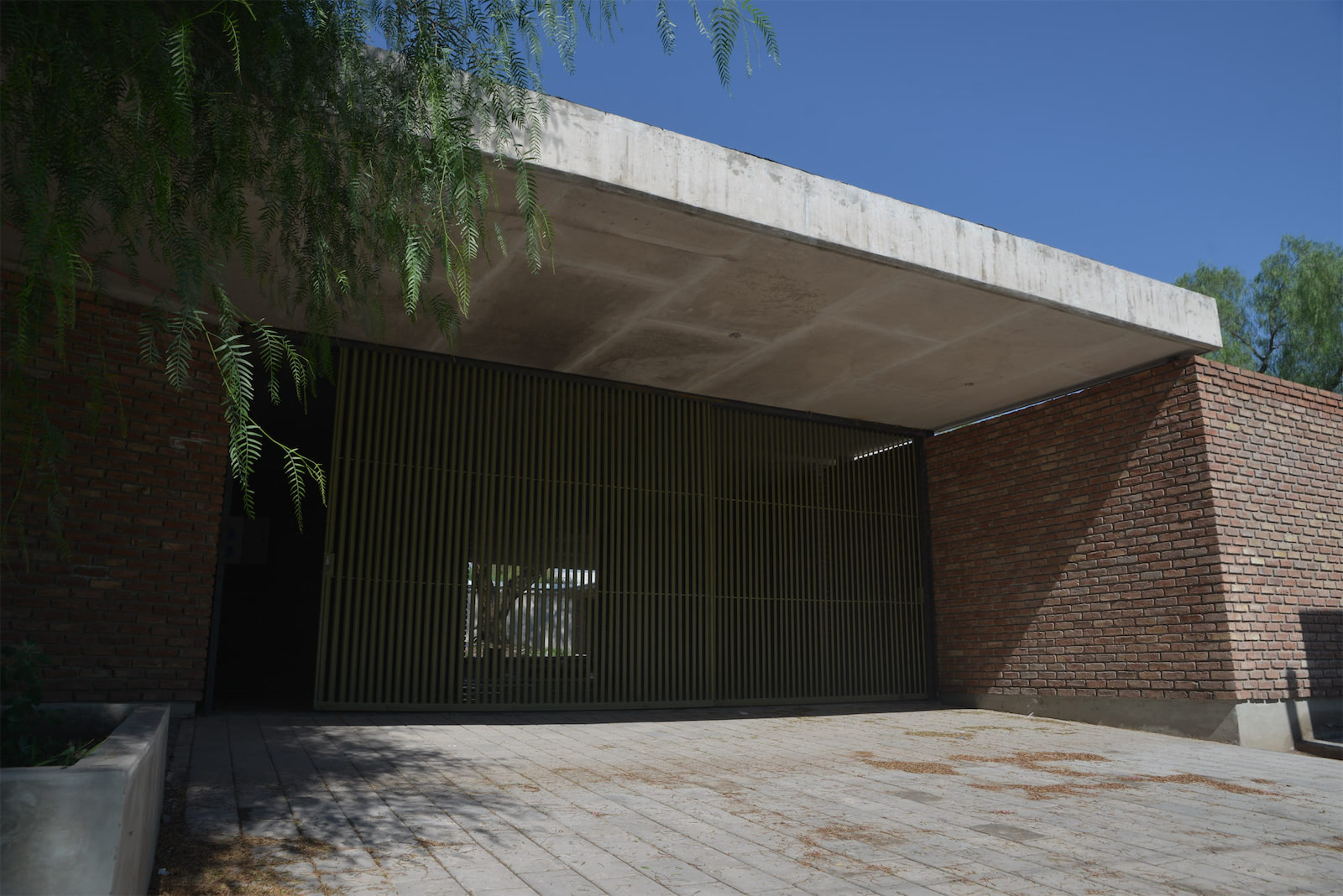 foto nido barrio flores olivares