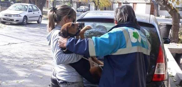 IMG 20190620 WA0028 1