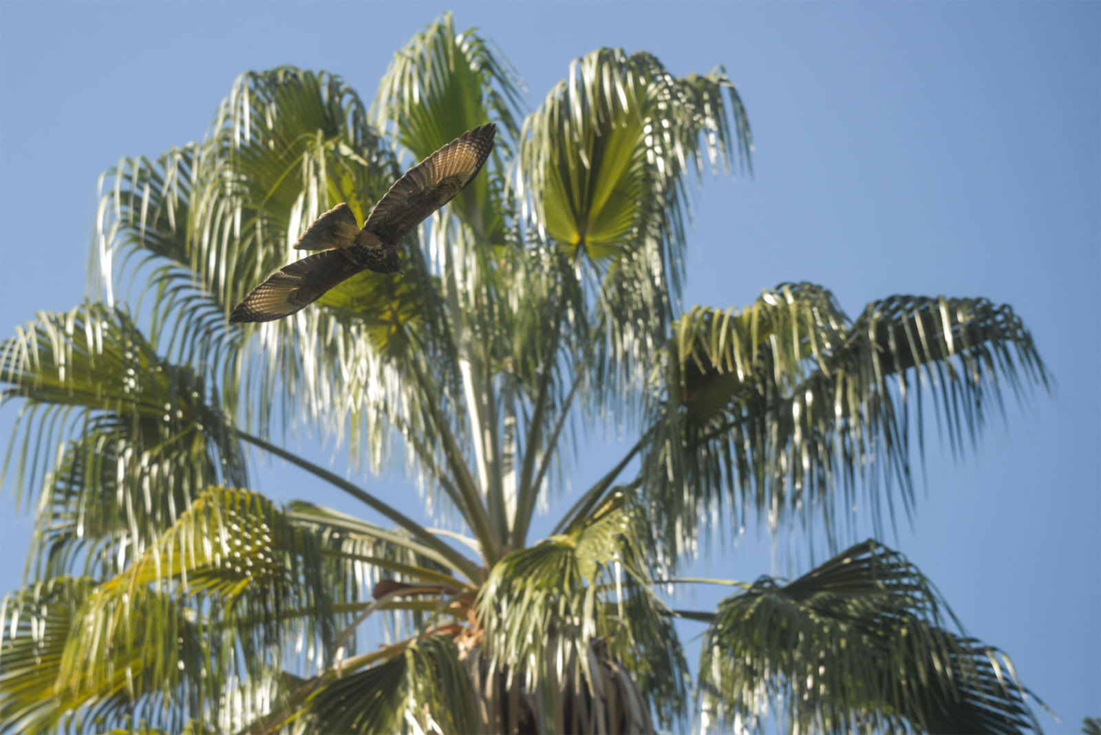 278d1b31 26ac 4980 b658 3ee78a3e8b89