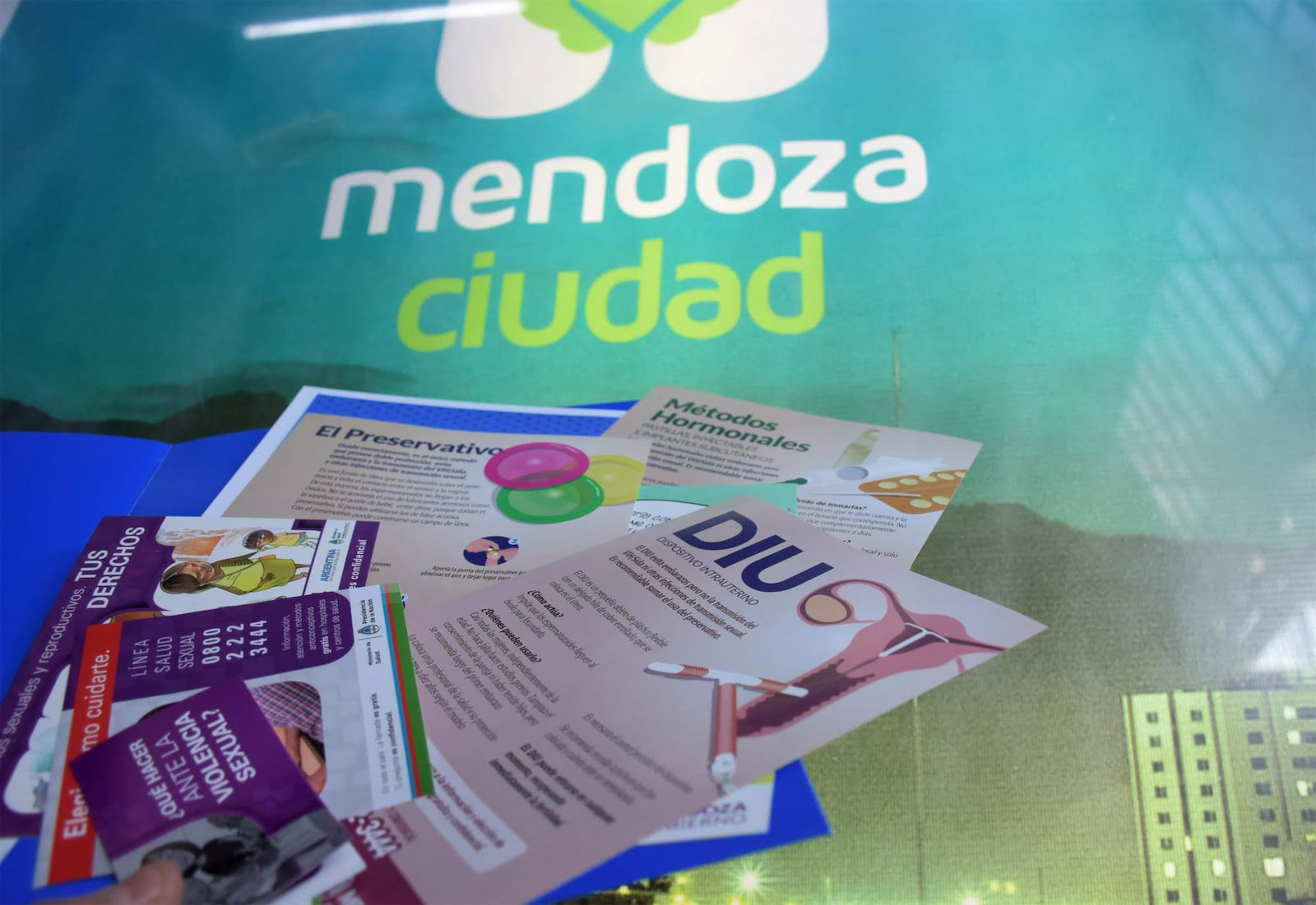 81c065d9 e60a 4dec bd98 a0775525d521