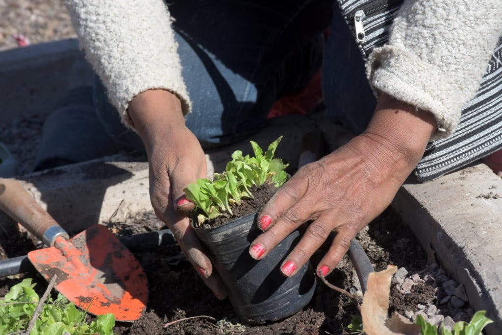 5204fe64 e634 4ae5 9279 5dfc0353db45