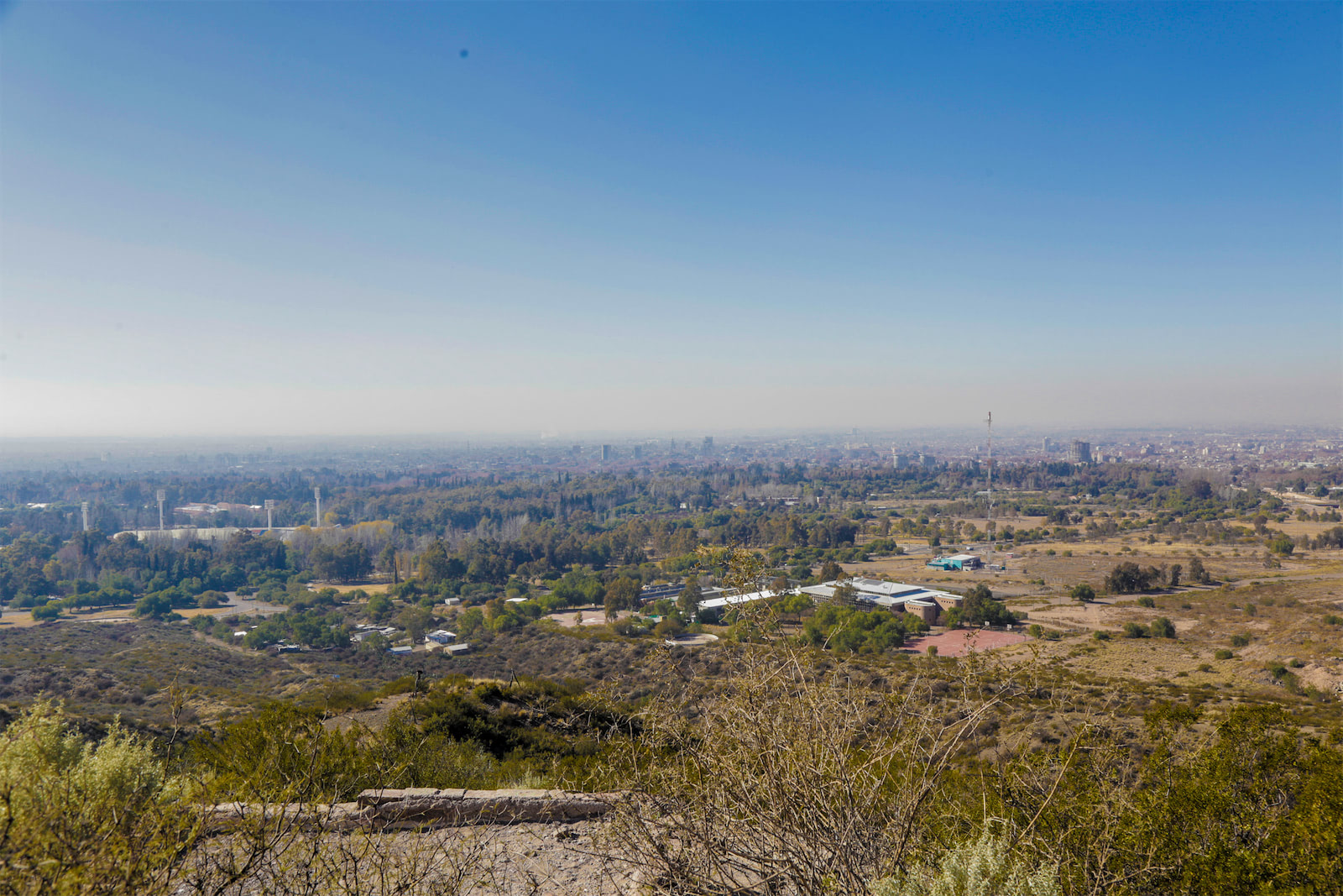 8f6529a2 5c0f 4471 9d1d 1f0f5460b7e4