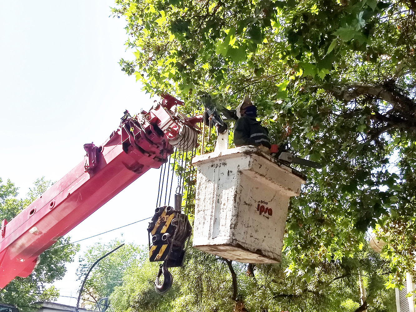 0165f1e3 320b 461e 928d 38570166d2df