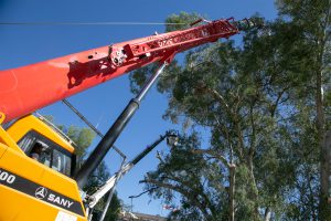 c64a171f 7de4 43fc b09e 82d0e4dfc3b1 1