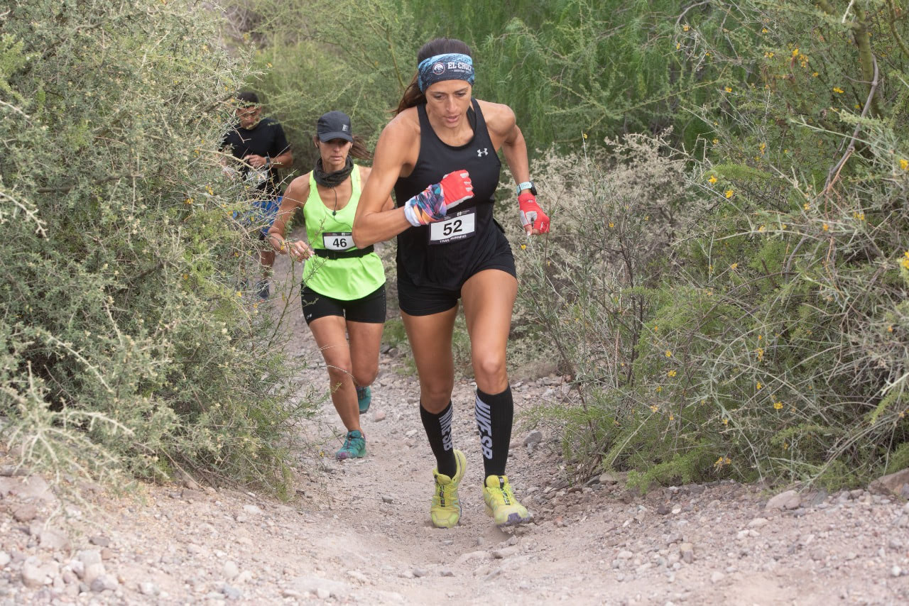 e5e69f7e 7c7b 4f3c a10c a41048c46332