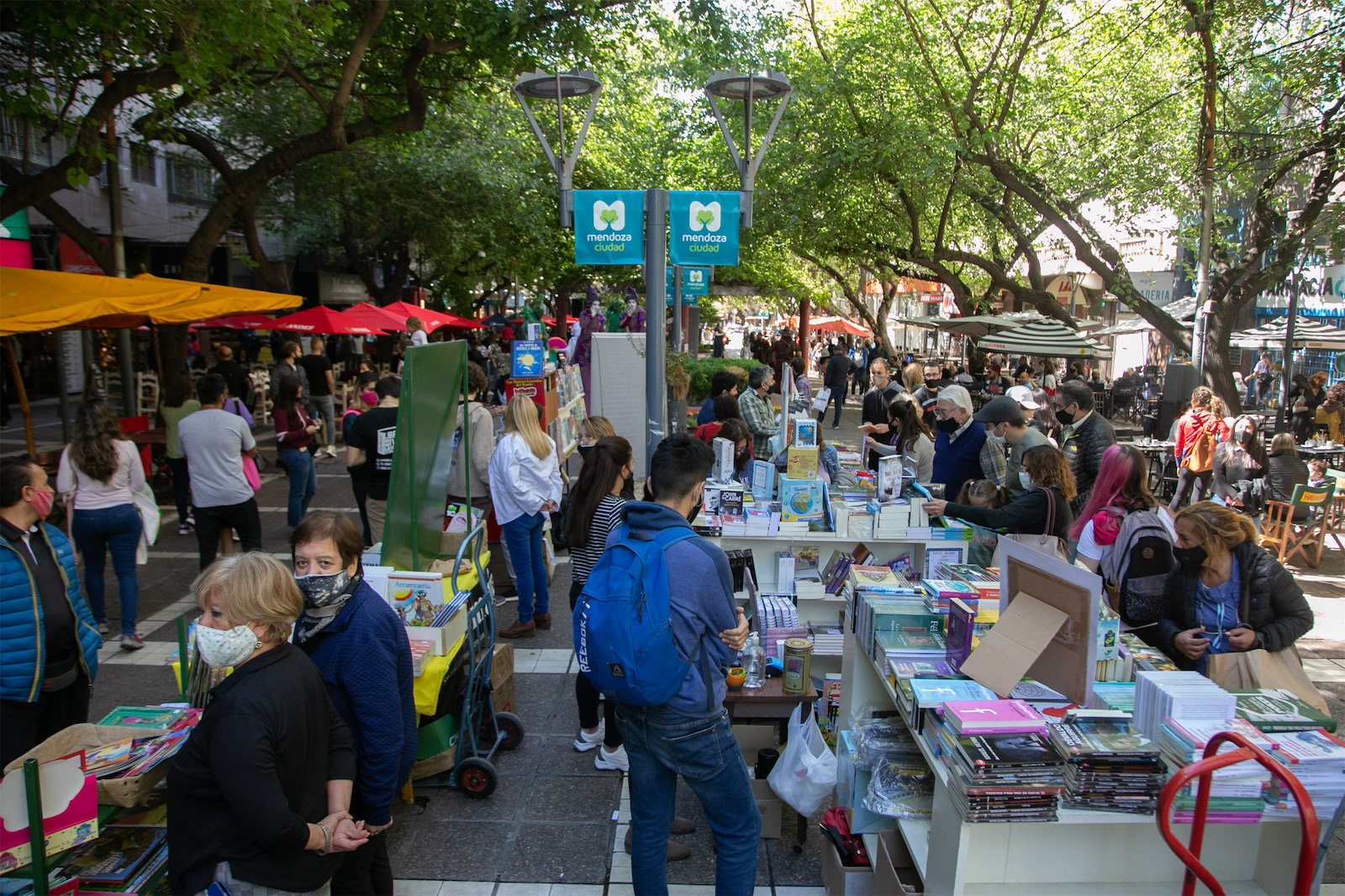 peatonal de libros