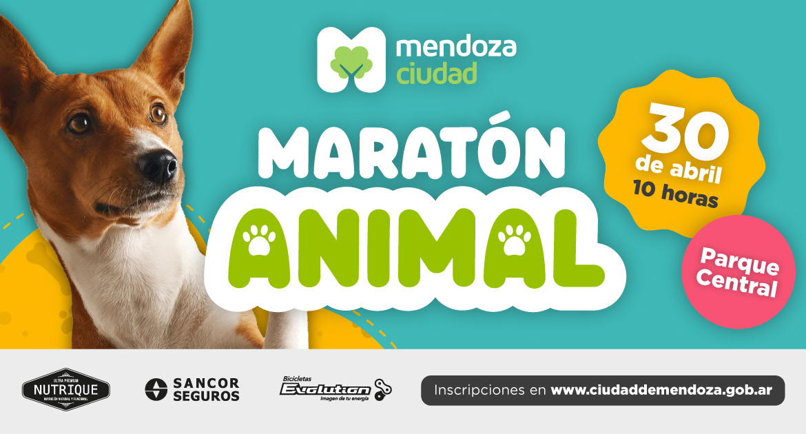 MaratonAnimal NT