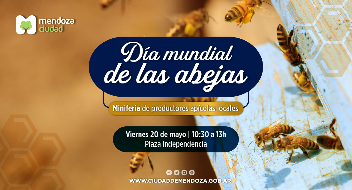 dia mundial de las abejas