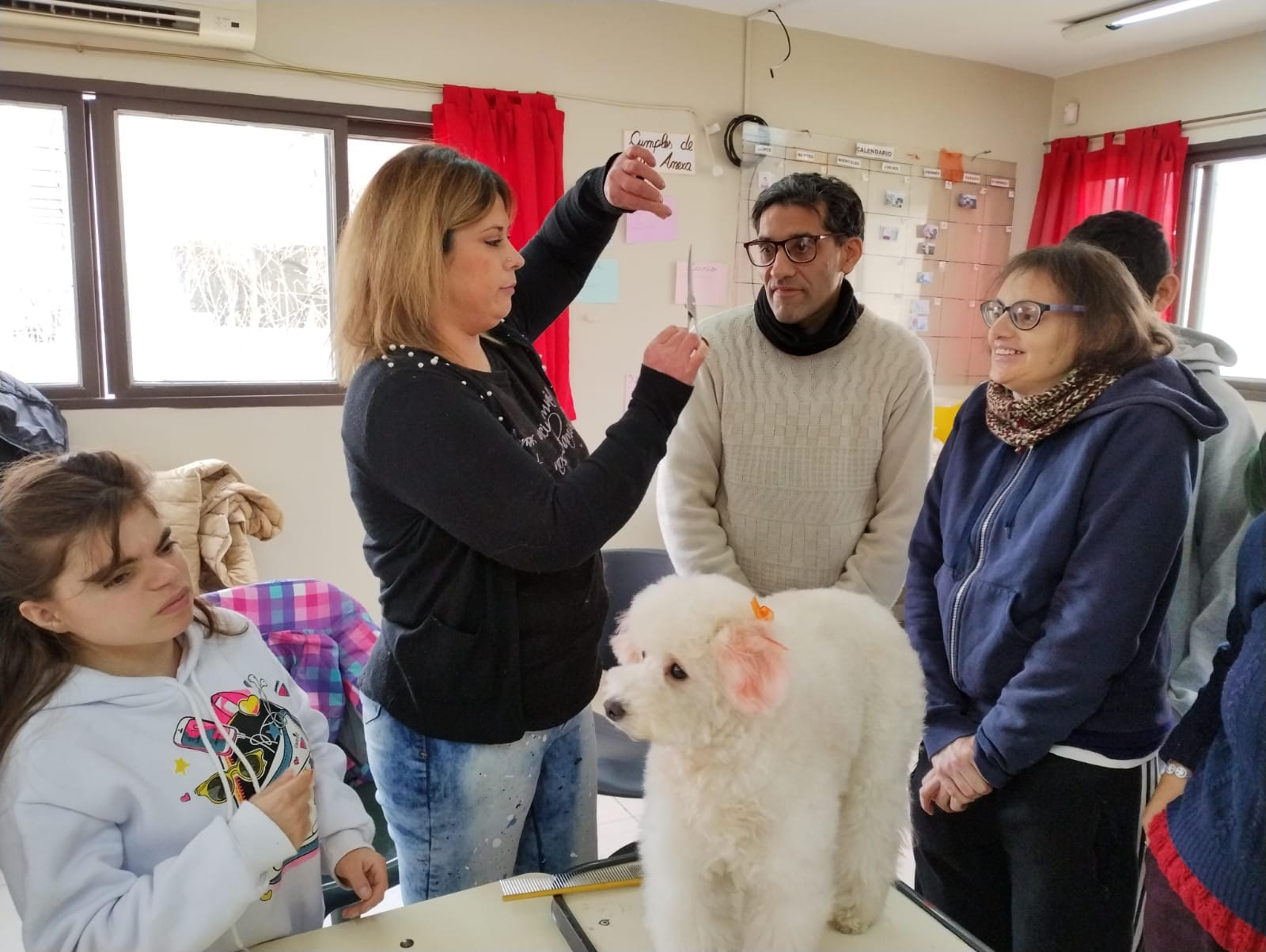 Peluqueria canina Ciudad