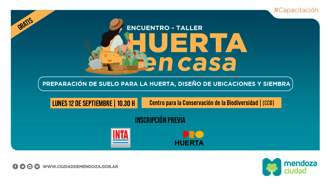 HUERTAENCASAPLANTILLASPETIEMBRE nt