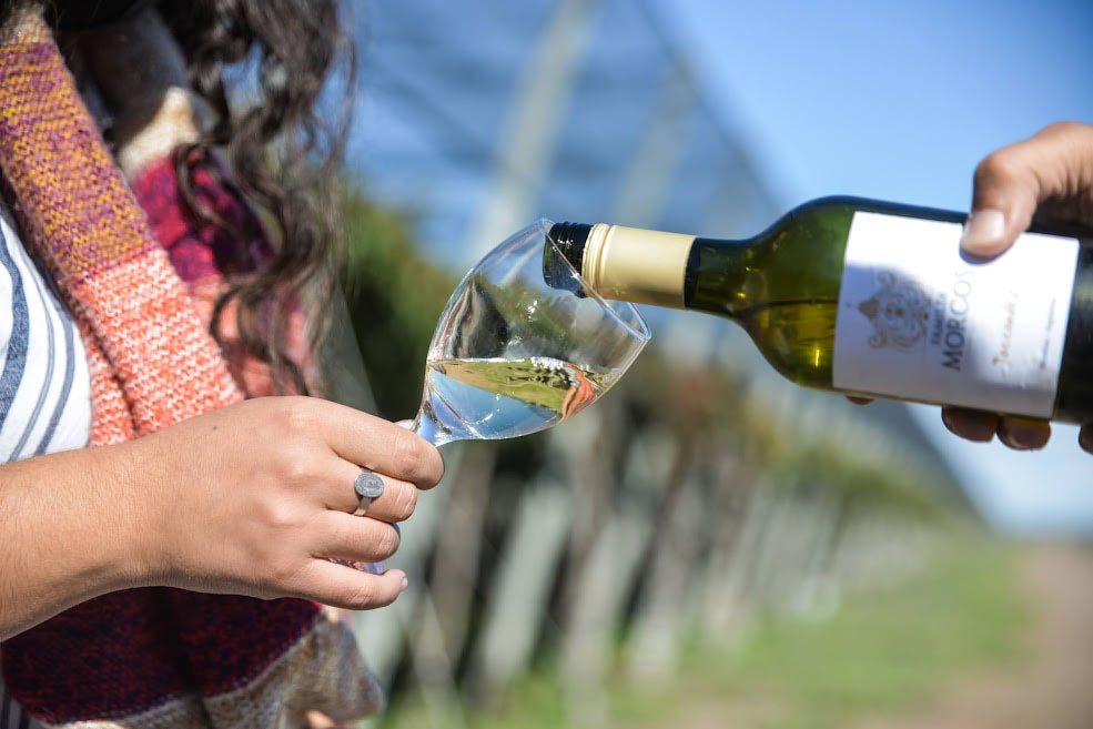 Free walking tours enero