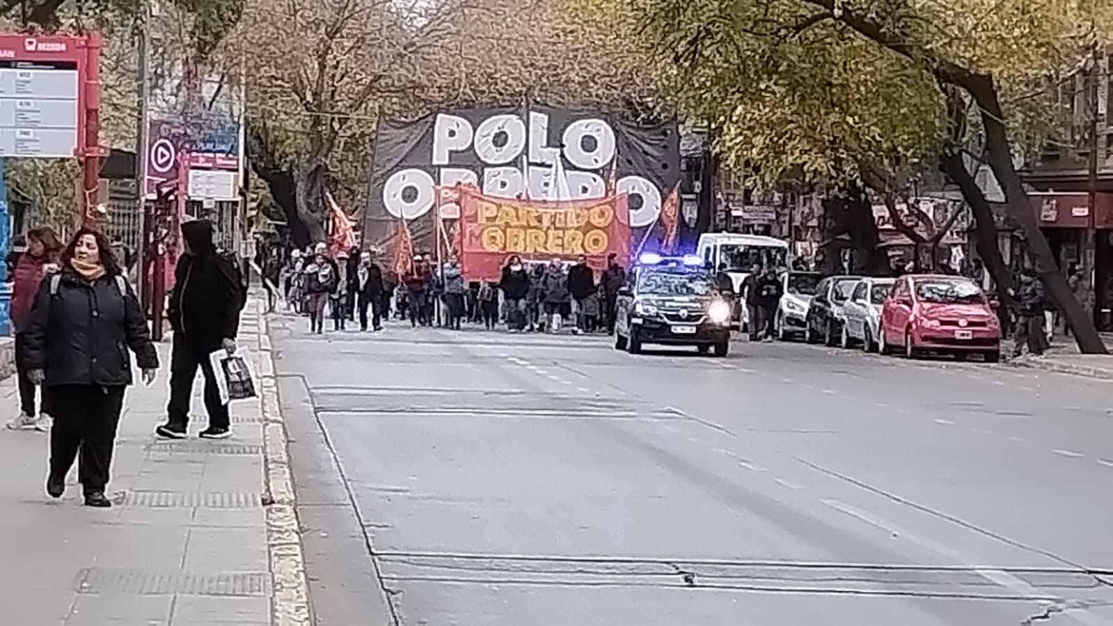multa polo