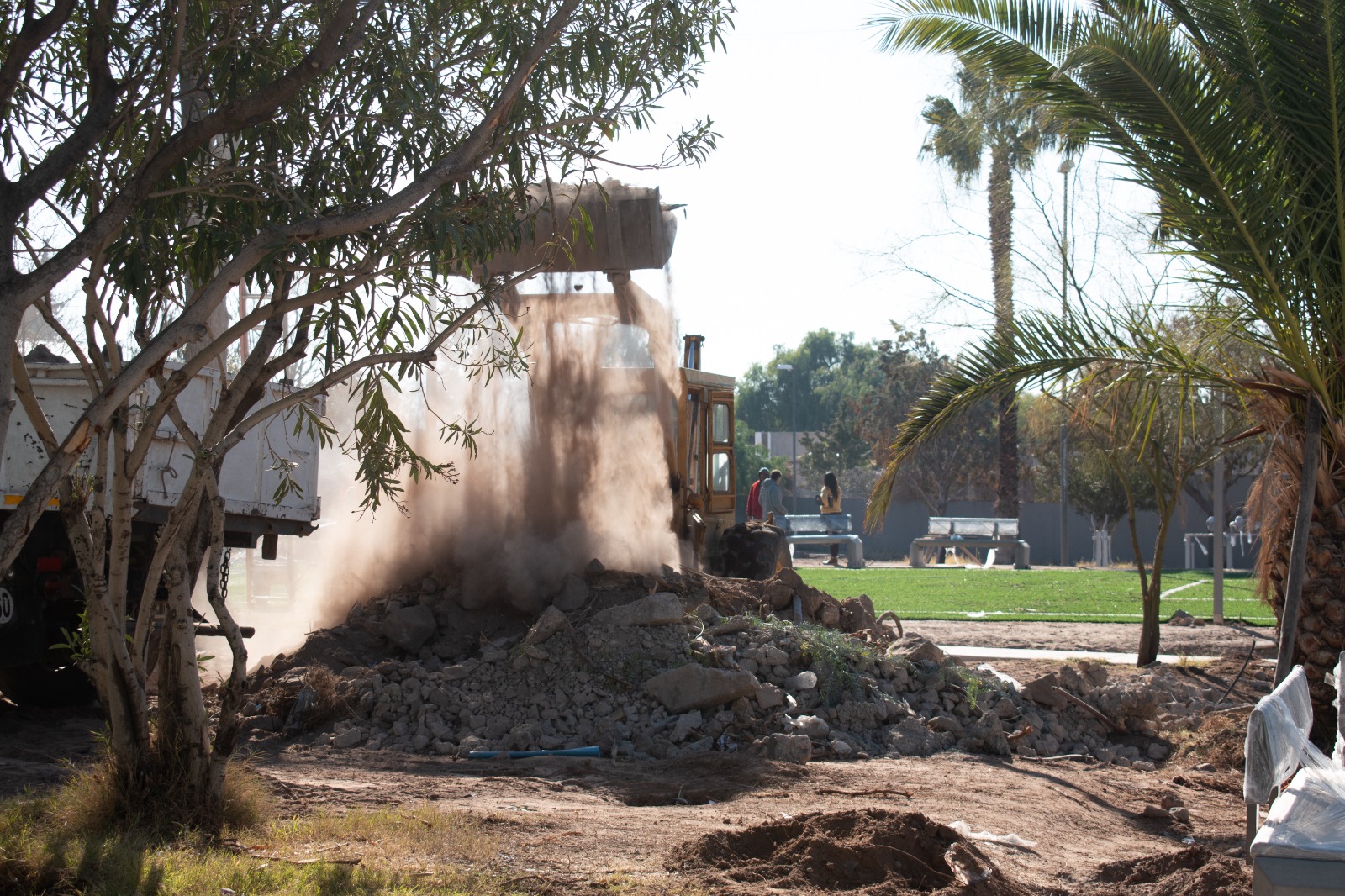 WhatsApp Image 2025-07-11 at 21.02.25 (4)