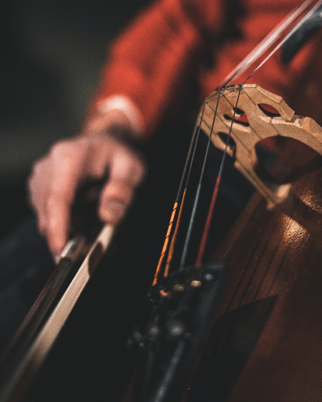 WhatsApp Image 2025-07-17 at 12.10.27 PM