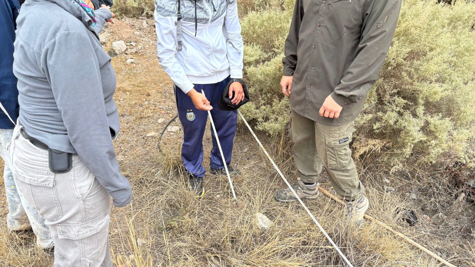 4f371f73-8a11-2ee4-b521-fa37e0288308