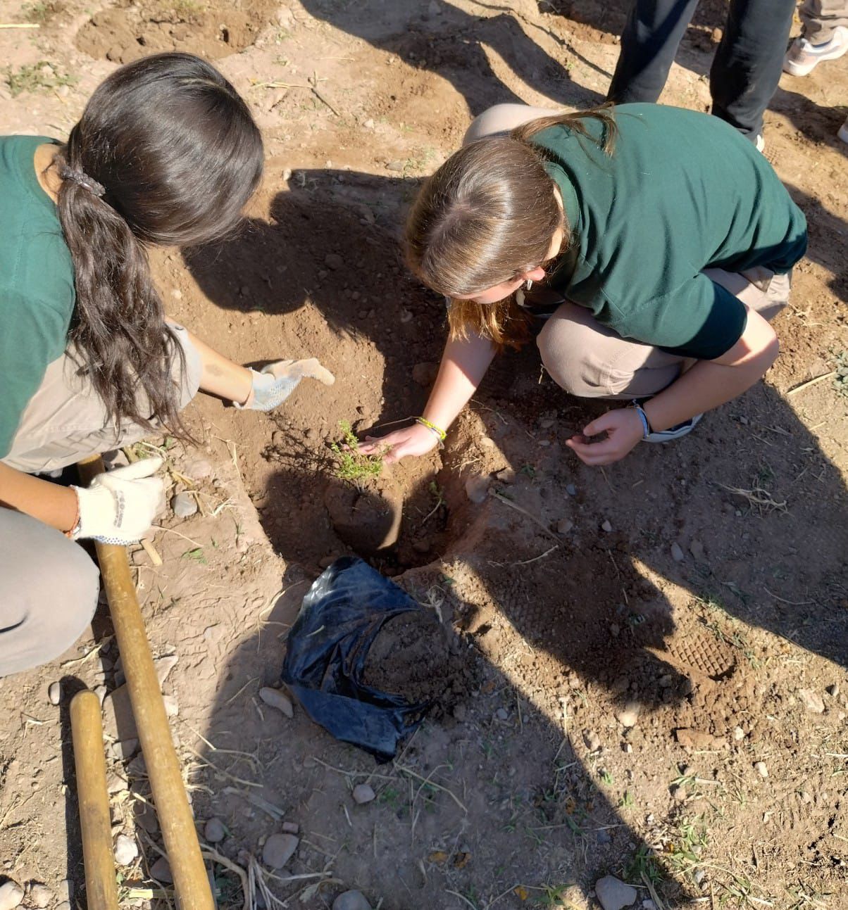 5aaef800-13d2-b81d-b3d1-b0bb2f195dcb