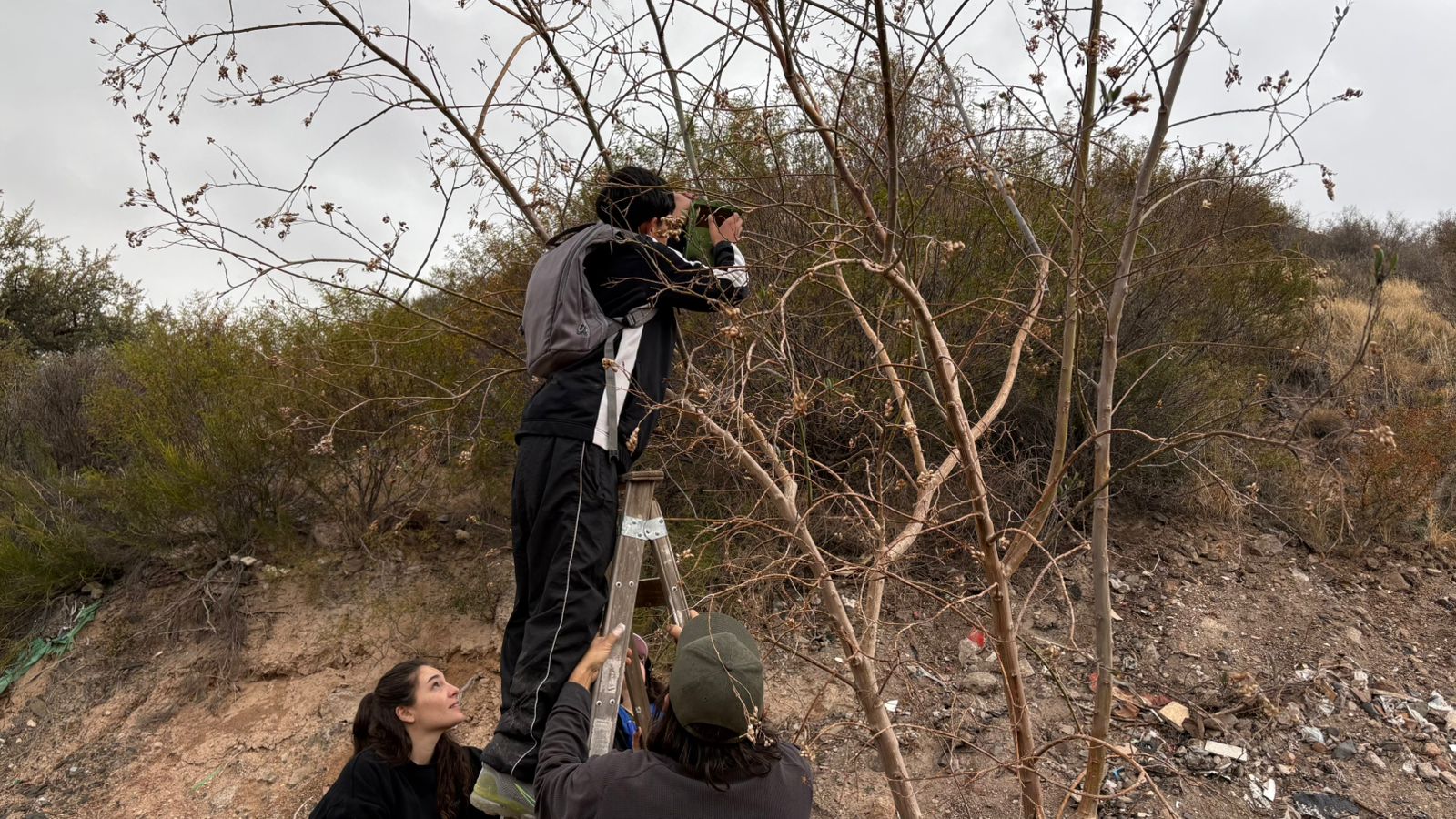 66e7d618-31d8-30d5-64c5-c31b0f03be64