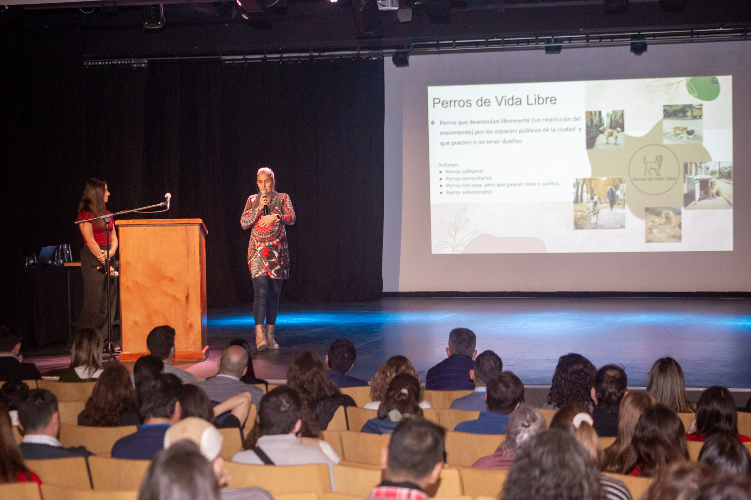 92fb47ec-008e-0760-5906-de0be336437f