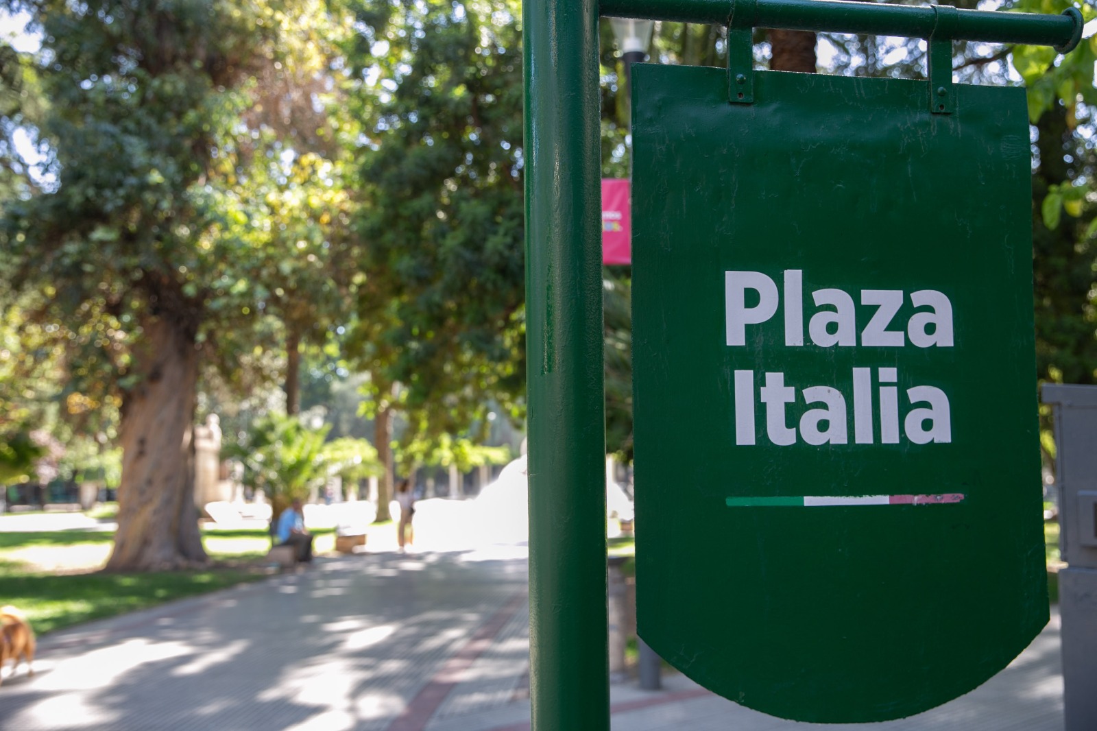 WhatsApp Image 2025-08-06 at 11.27.59 (1)