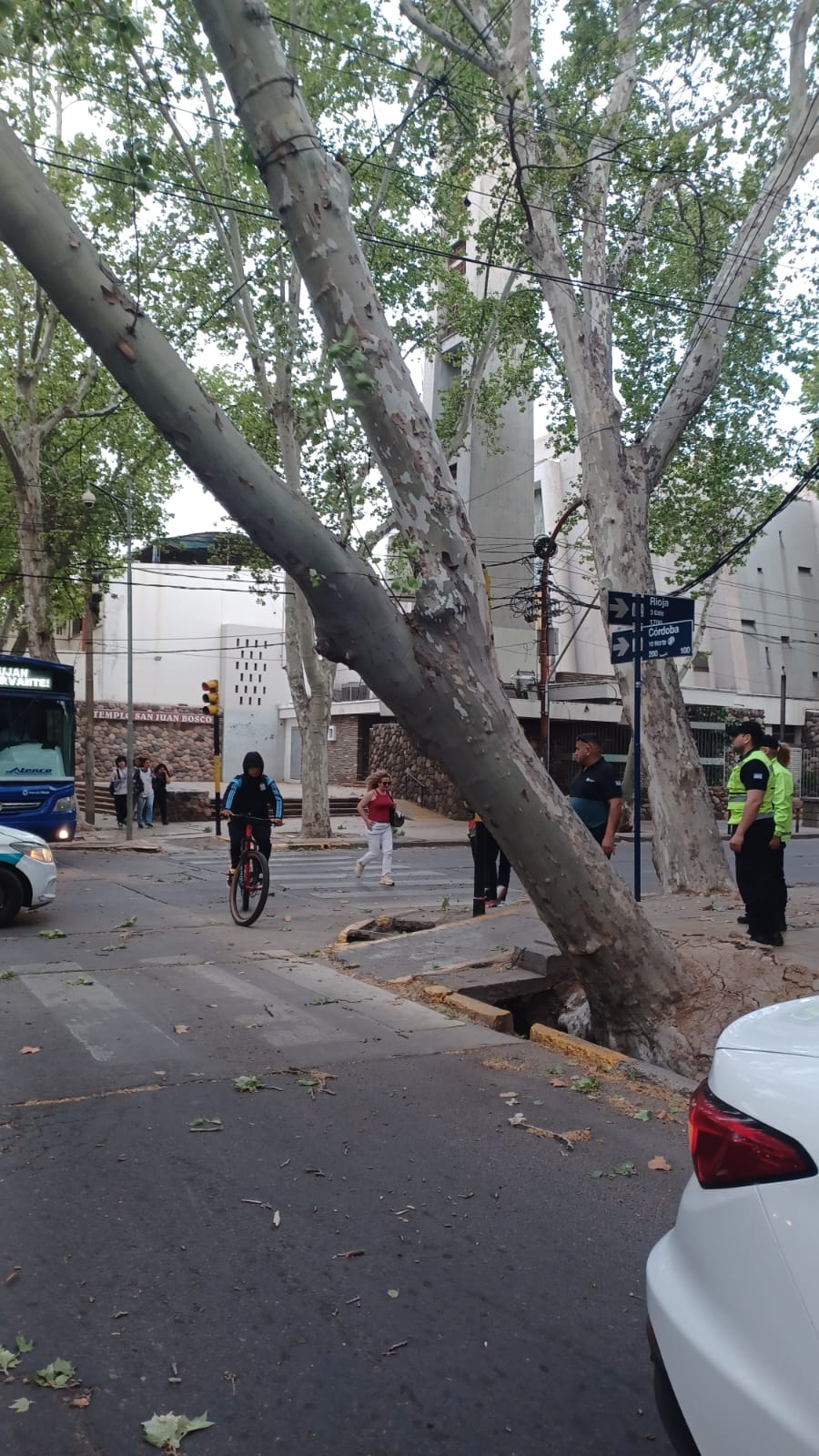 151c5375-dd99-6444-27c3-1b9c4d546810