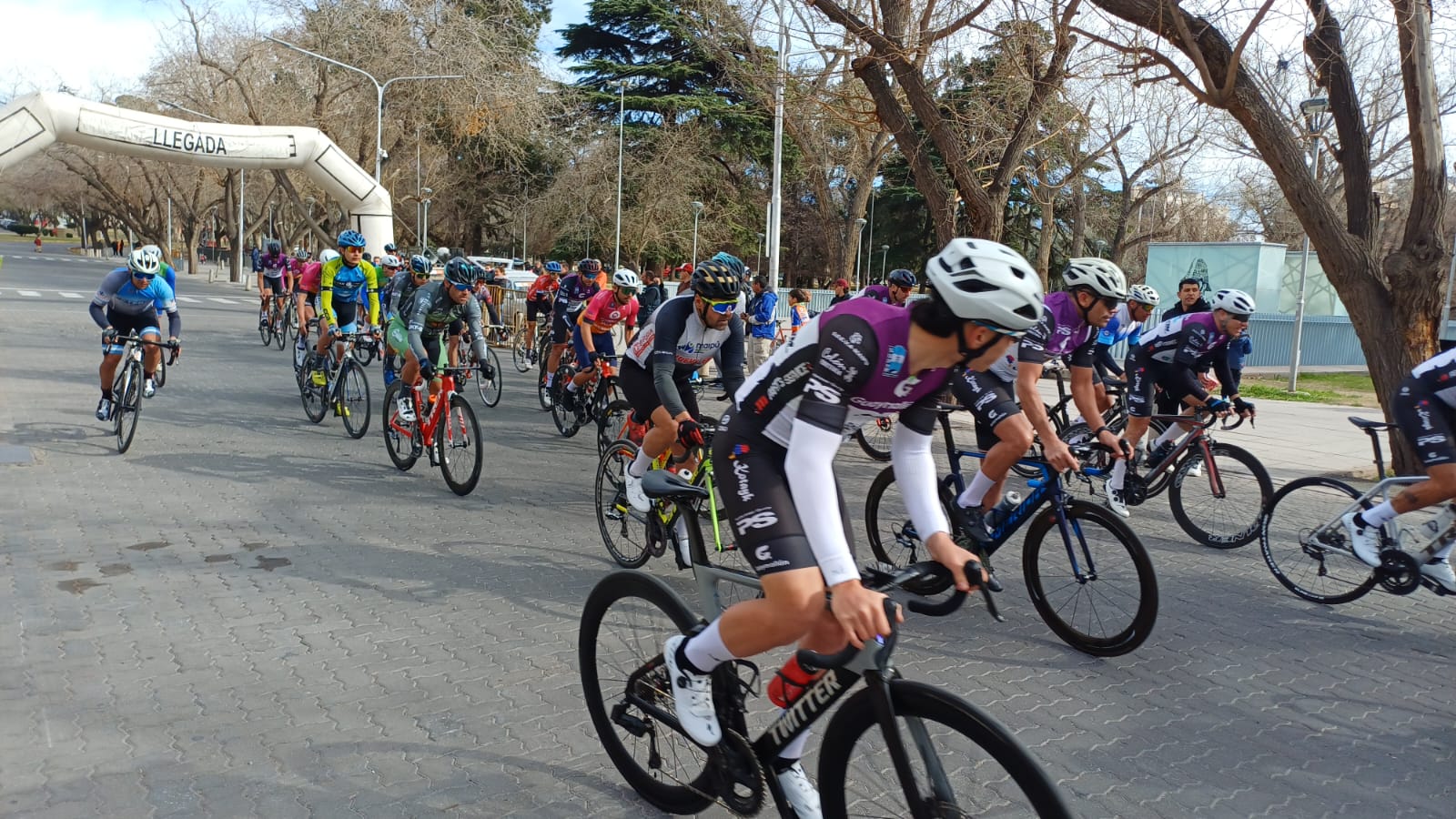 24b8cf76-5023-953b-76ba-c46eebf31f42