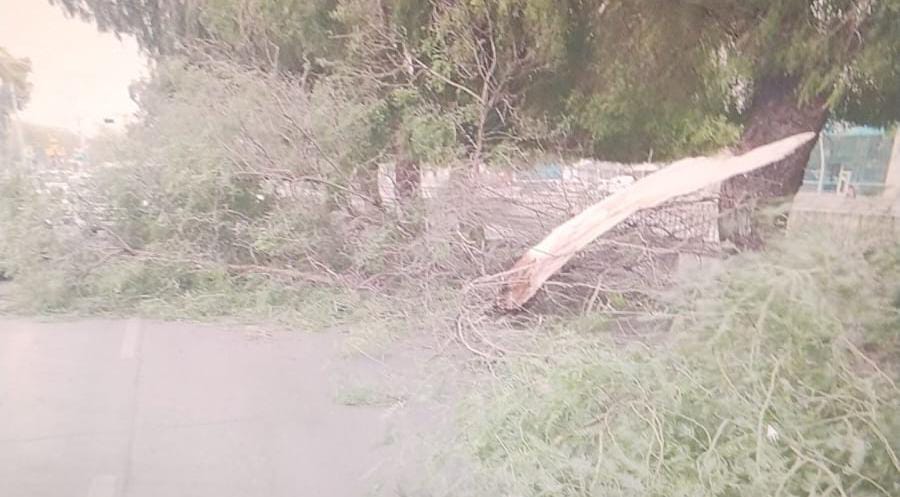 3a00242c-73a2-6c46-cf0f-641729711580