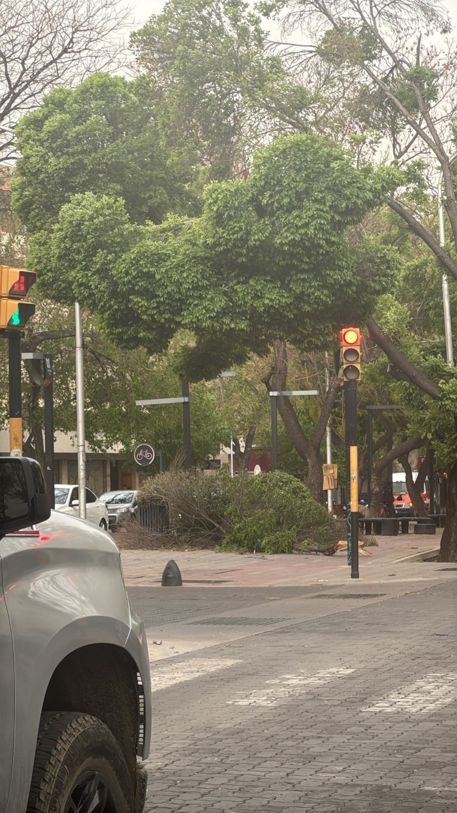 70d9adf2-14cd-2e71-bb06-400088dce636