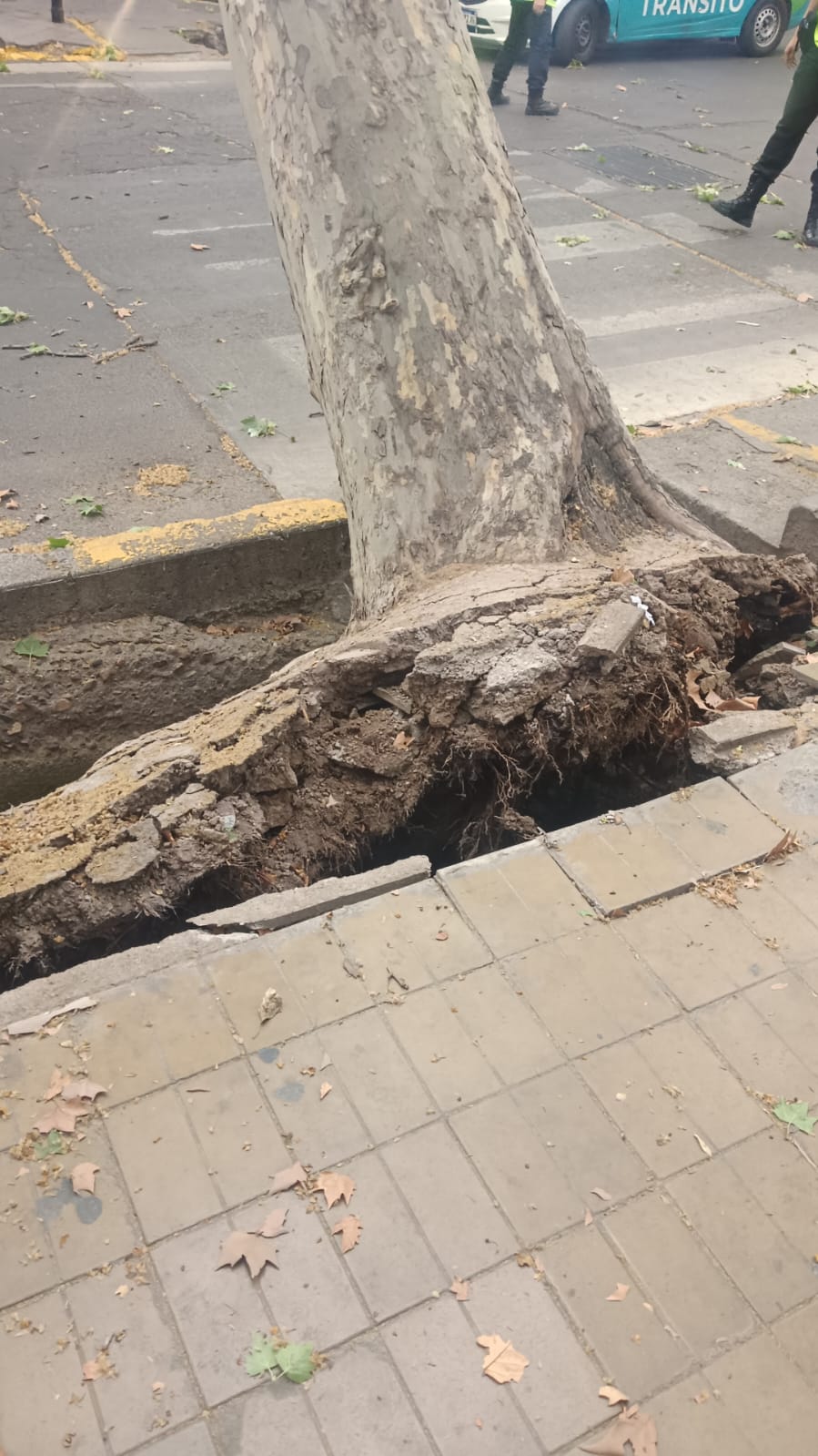 9852f8b0-35fb-2df5-6d5f-9265495ef588