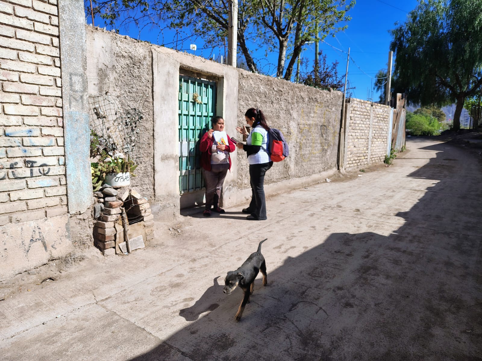 WhatsApp Image 2025-09-26 at 11.23.36 AM