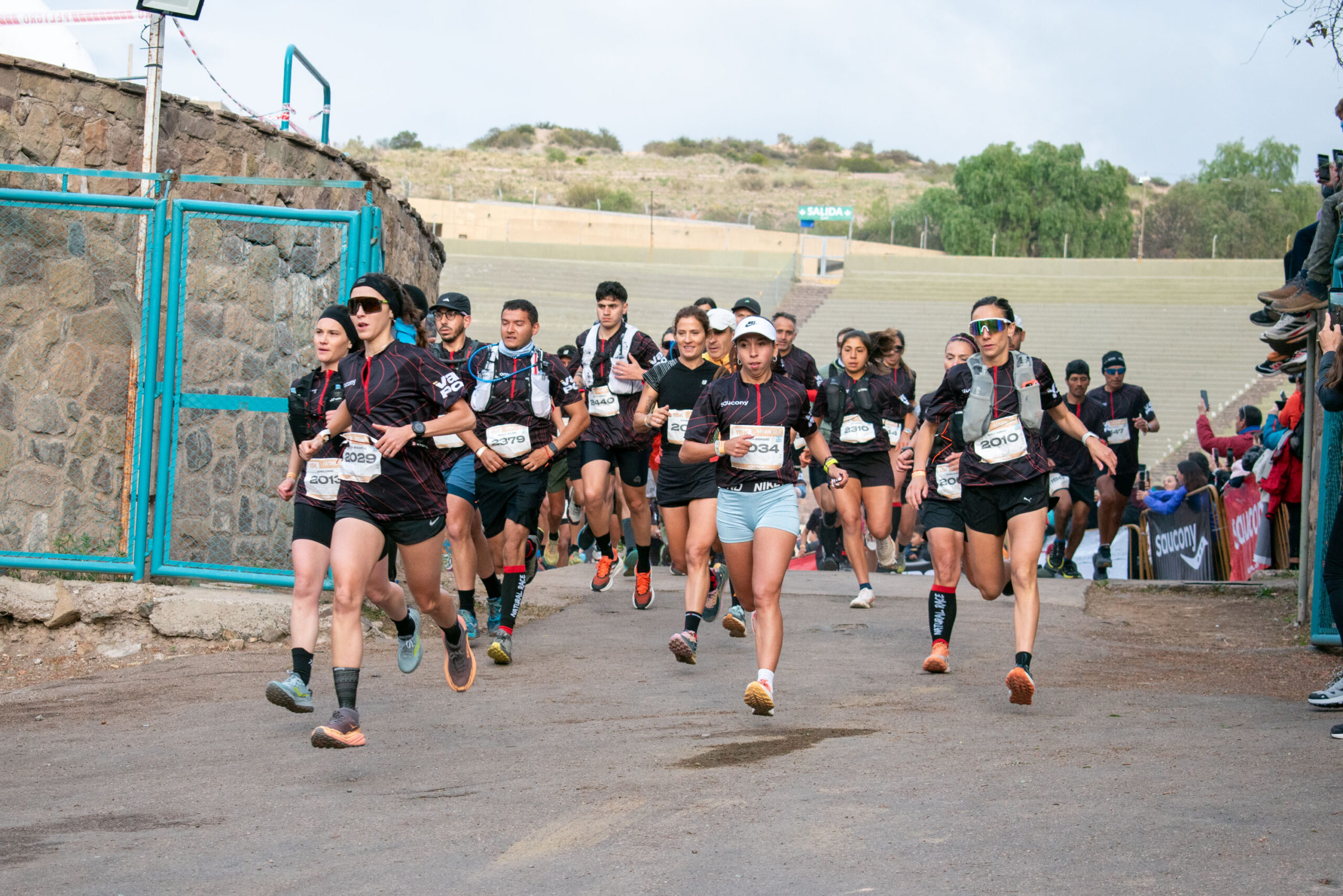 d0fa2bf1-fa99-59e4-3c45-cc9bf2834a95