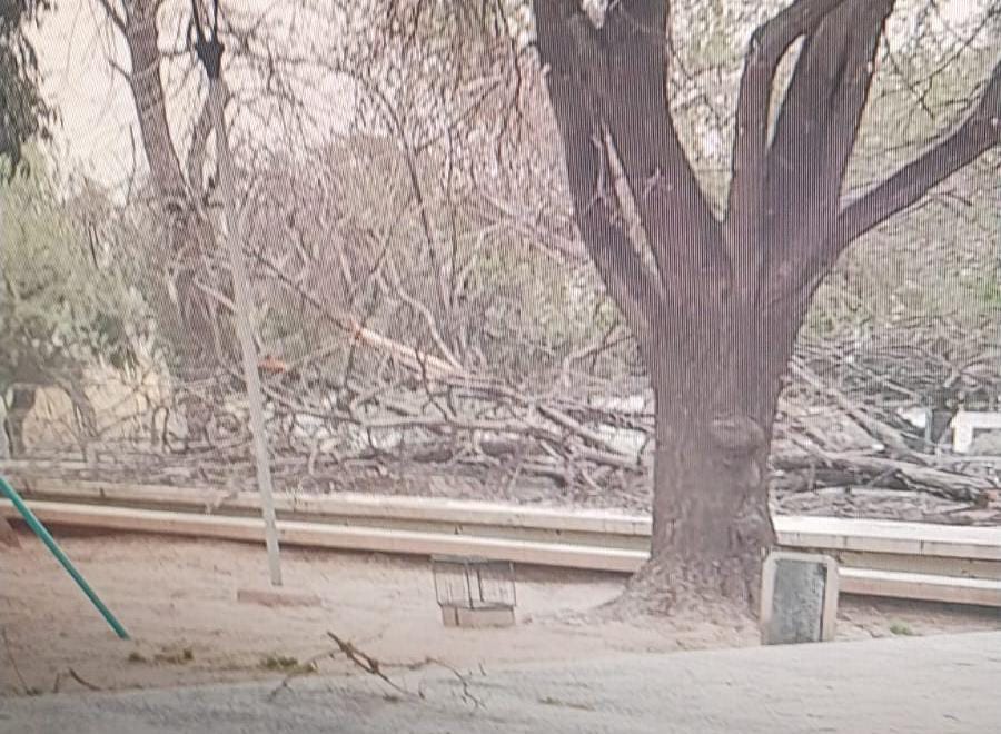 f0ca07e0-d85b-a375-d223-7802ae5ebd12