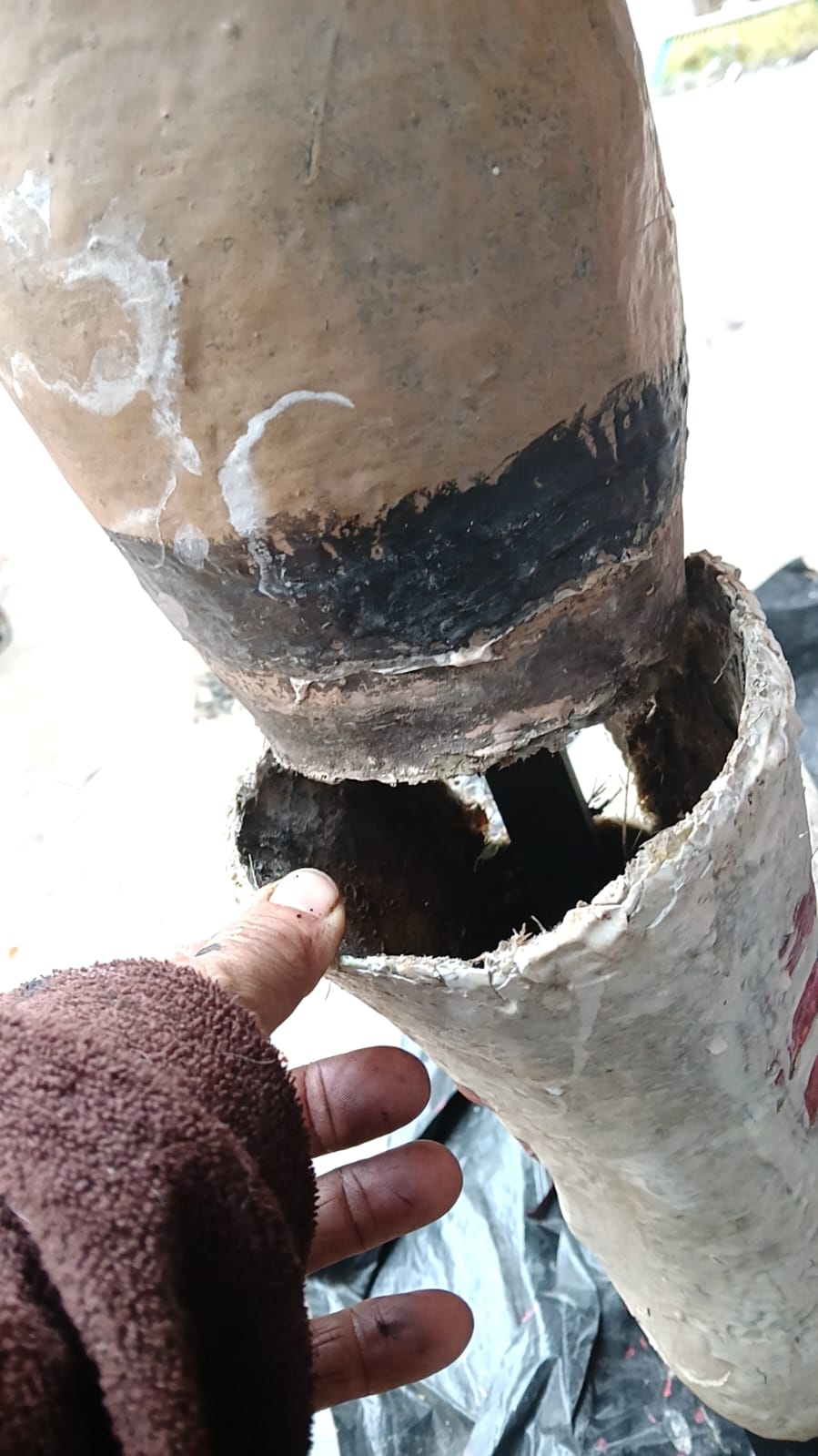 WhatsApp Image 2025-10-24 at 15.31.29