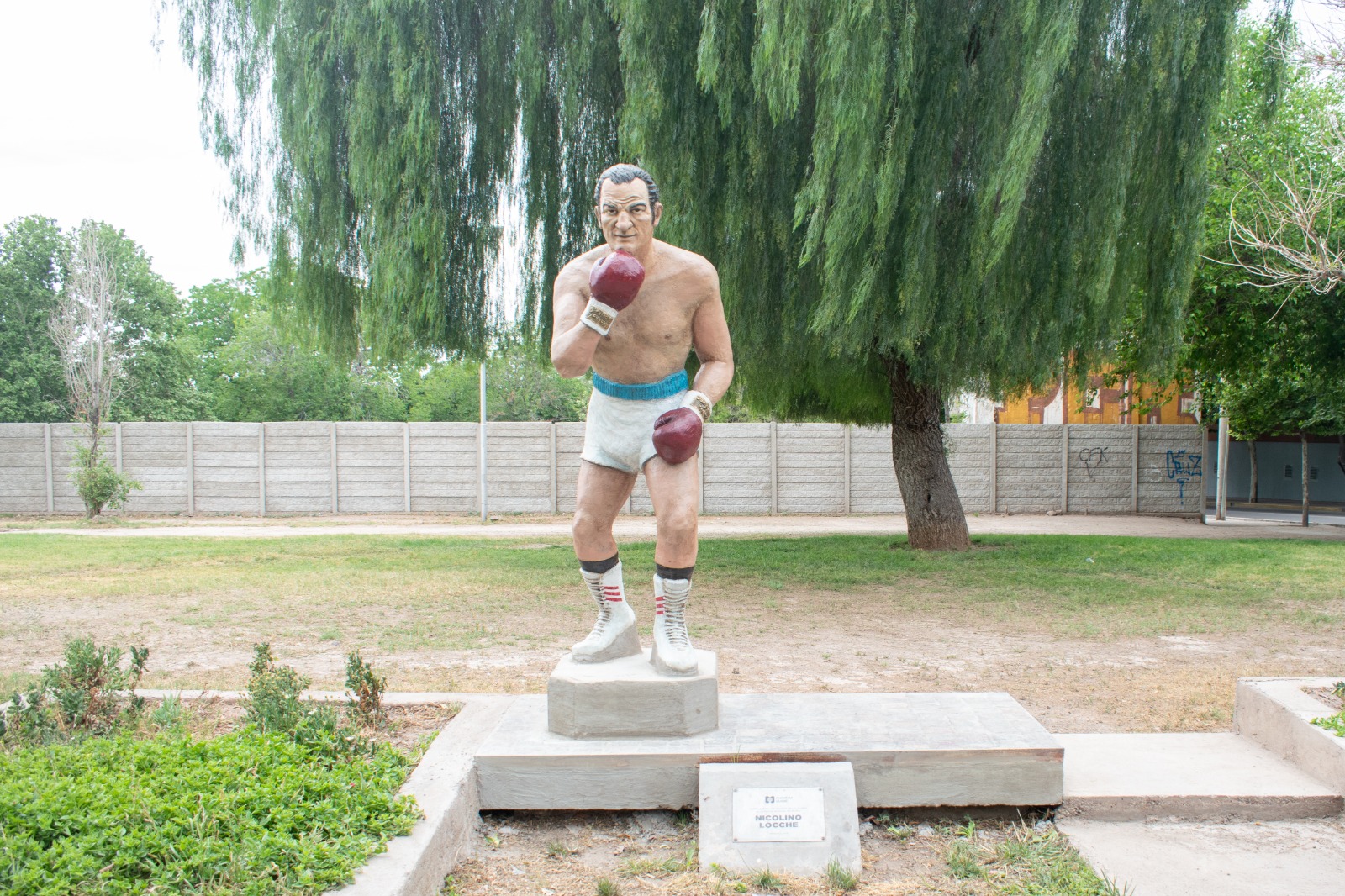 WhatsApp Image 2025-10-24 at 18.17.17