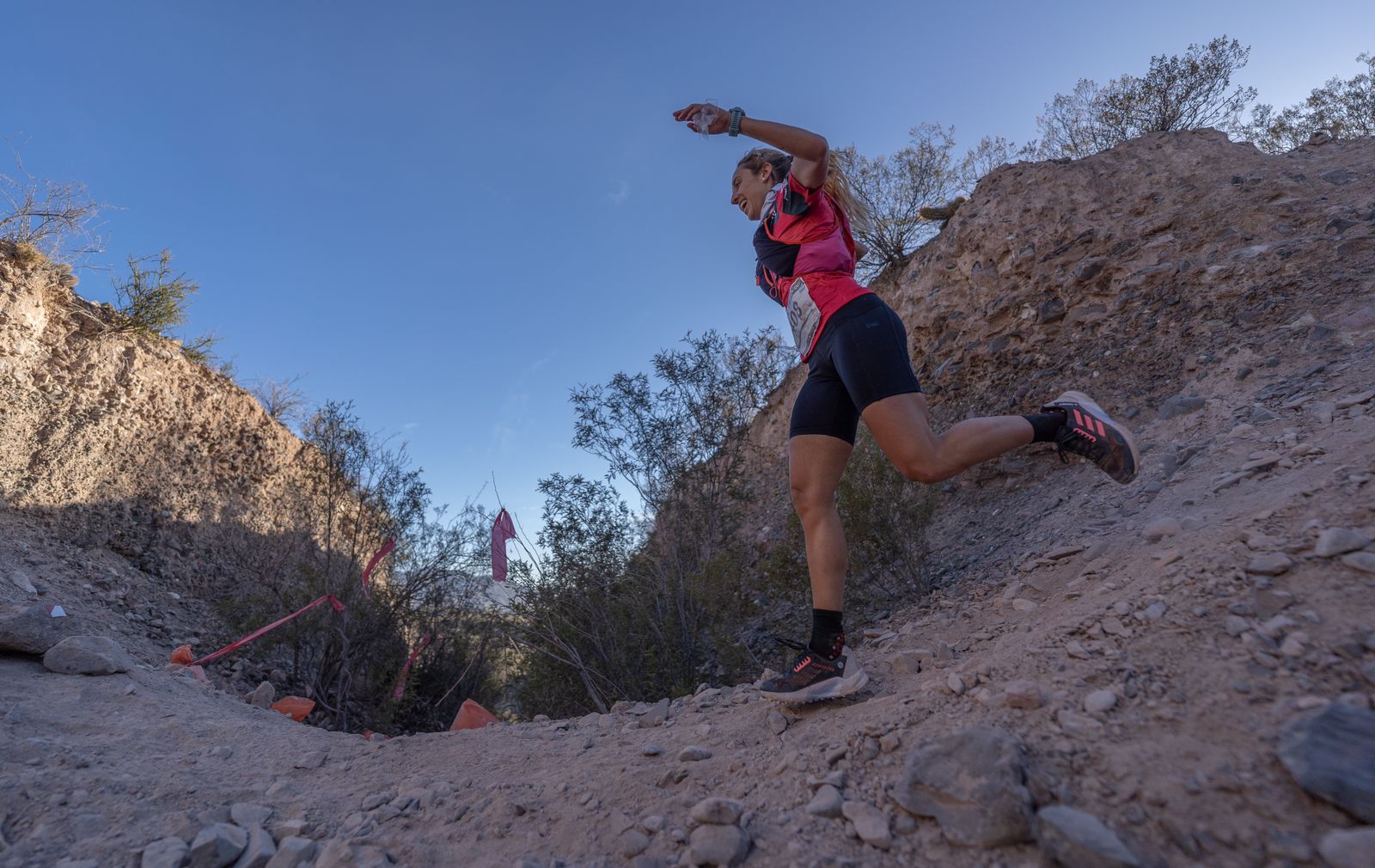 <b>Error:</b> can't render field data in the current format. You can try "Get child value" callback. Available children: rendered. Or one of array-related callbacks - "Multiple select field values", "Checkbox field values", "Checked values list" etc