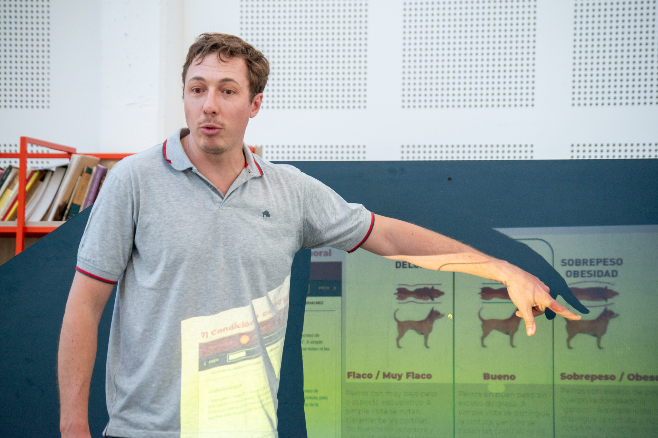 20a0eb38-af96-629b-74cf-319a82926e53