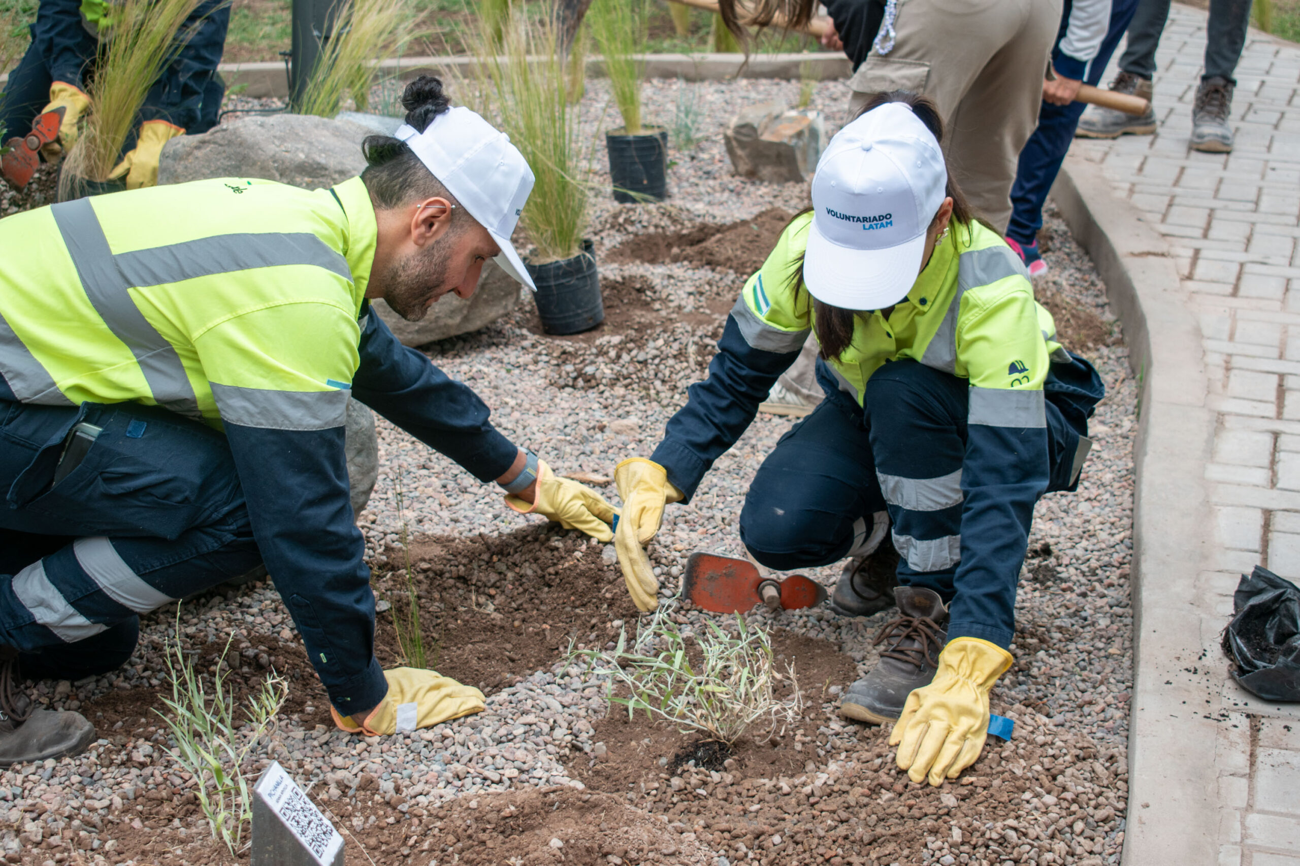 217d73d8-6ffd-ff25-3330-4293a3b16113