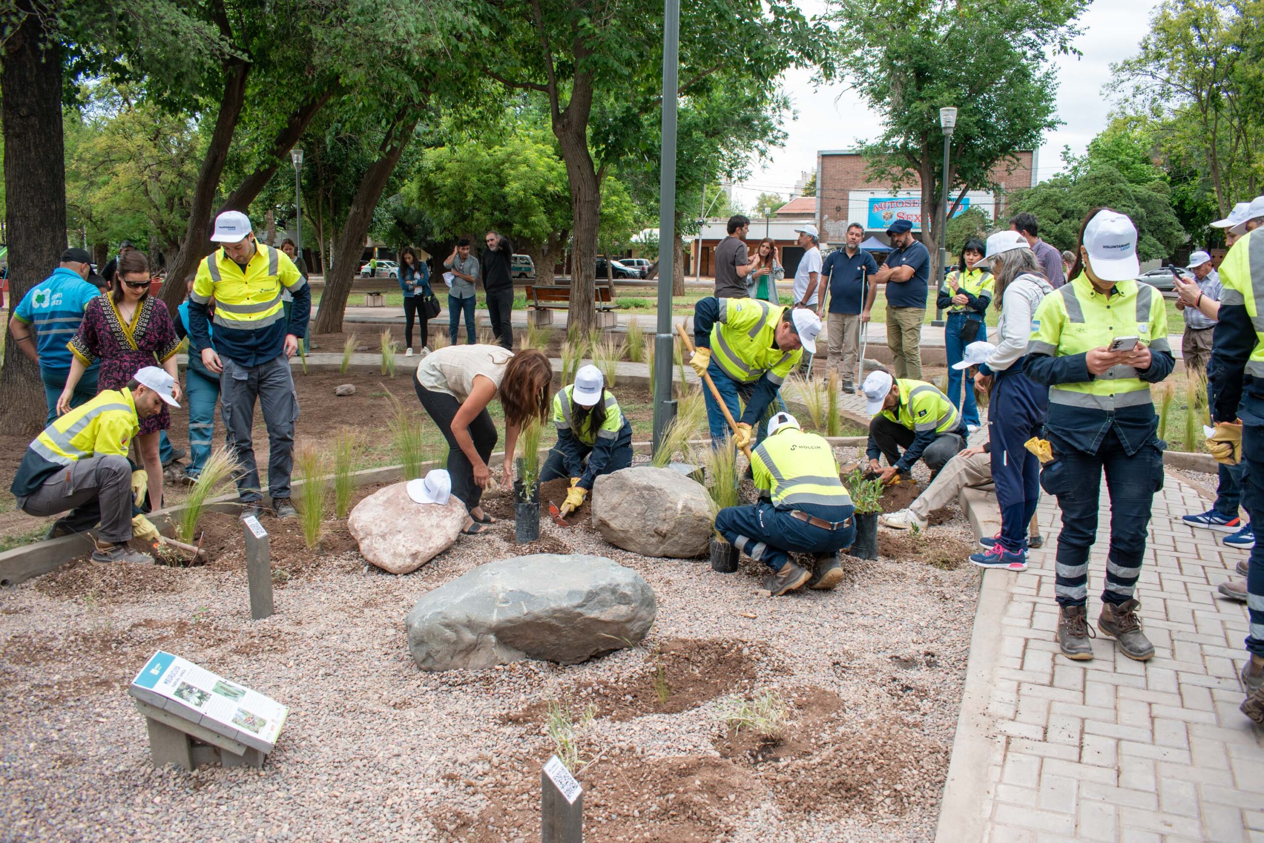 <b>Error:</b> can't render field data in the current format. You can try "Get child value" callback. Available children: rendered. Or one of array-related callbacks - "Multiple select field values", "Checkbox field values", "Checked values list" etc