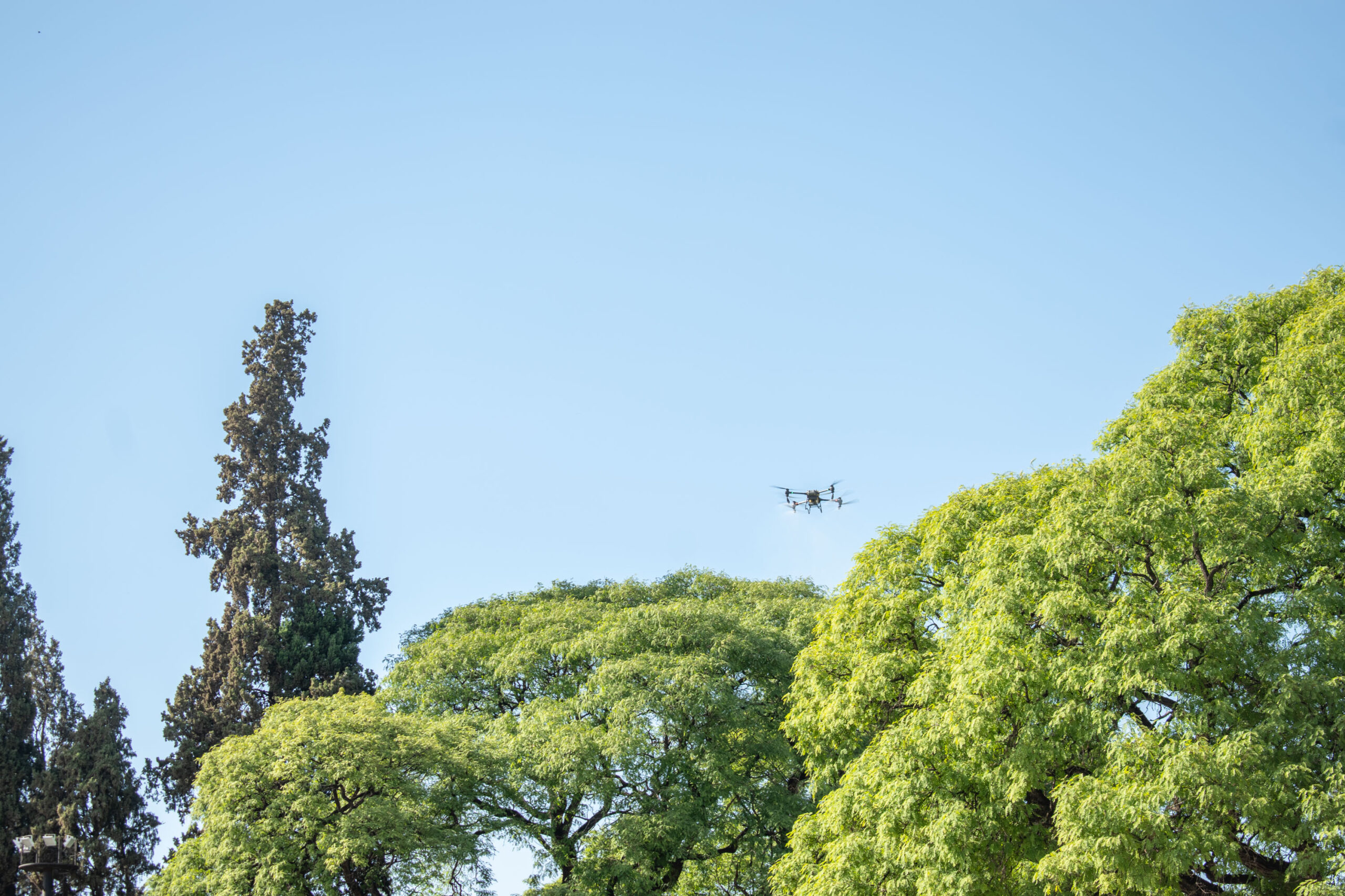 <b>Error:</b> can't render field data in the current format. You can try "Get child value" callback. Available children: rendered. Or one of array-related callbacks - "Multiple select field values", "Checkbox field values", "Checked values list" etc