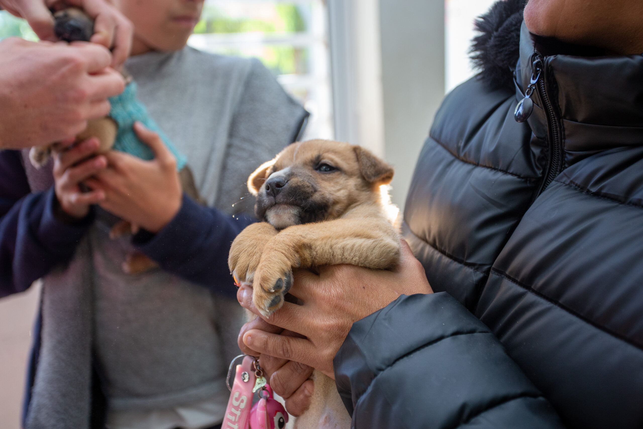 <b>Error:</b> can't render field data in the current format. You can try "Get child value" callback. Available children: rendered. Or one of array-related callbacks - "Multiple select field values", "Checkbox field values", "Checked values list" etc
