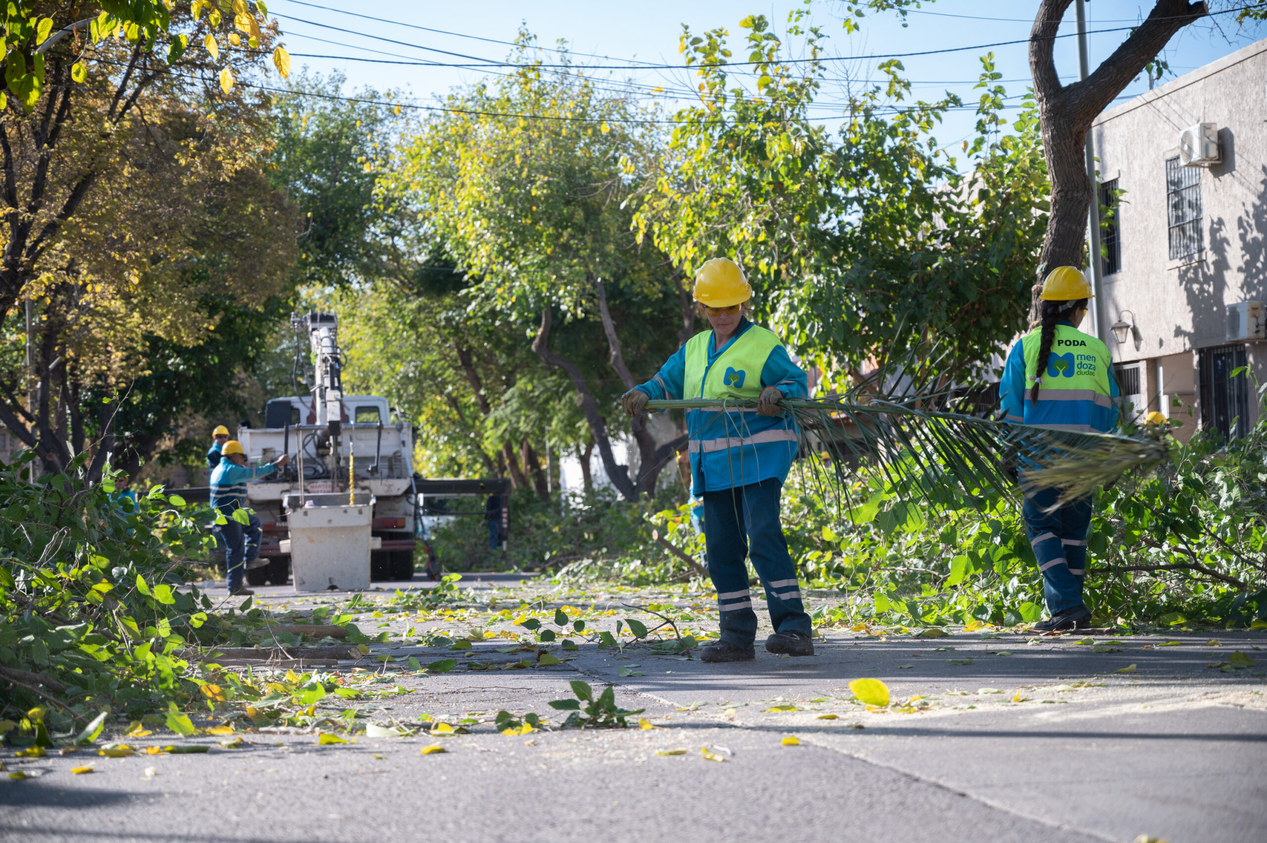 <b>Error:</b> can't render field data in the current format. You can try "Get child value" callback. Available children: rendered. Or one of array-related callbacks - "Multiple select field values", "Checkbox field values", "Checked values list" etc