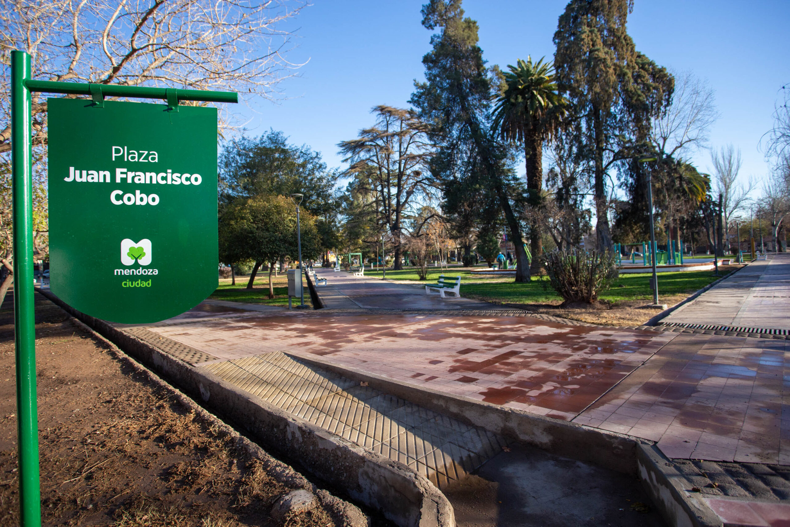 <b>Error:</b> can't render field data in the current format. You can try "Get child value" callback. Available children: rendered. Or one of array-related callbacks - "Multiple select field values", "Checkbox field values", "Checked values list" etc