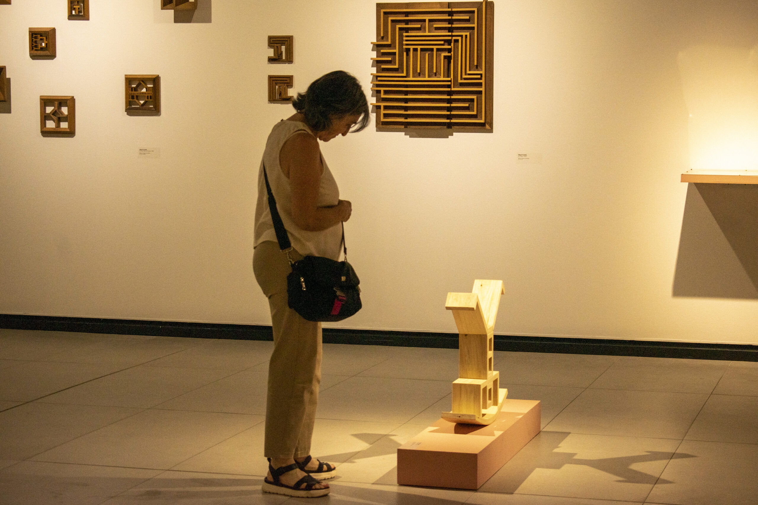 17e5e21b-395d-d992-15f4-fc923cd60d75