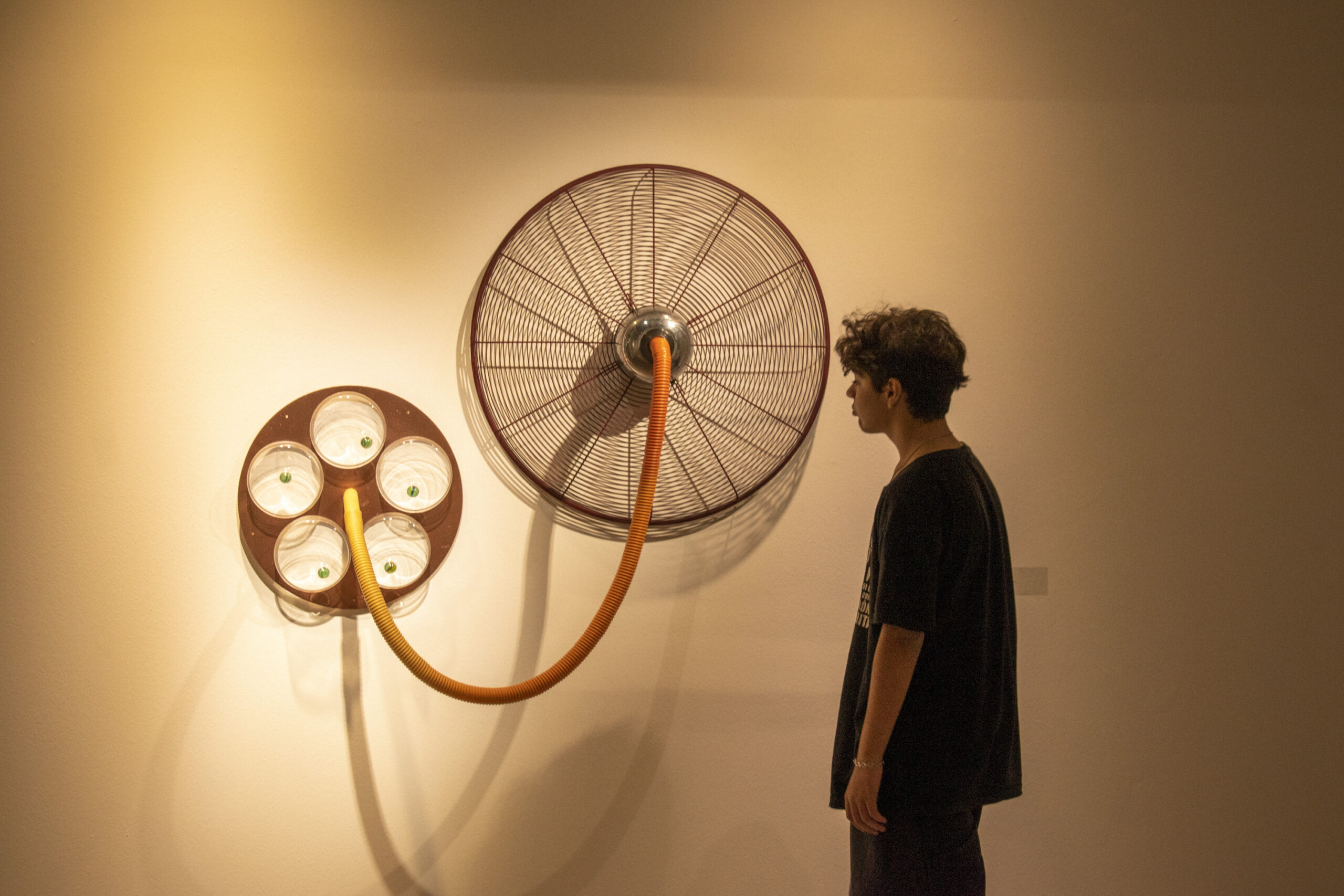 675c0dad-9100-5490-b0f8-38b088fca848