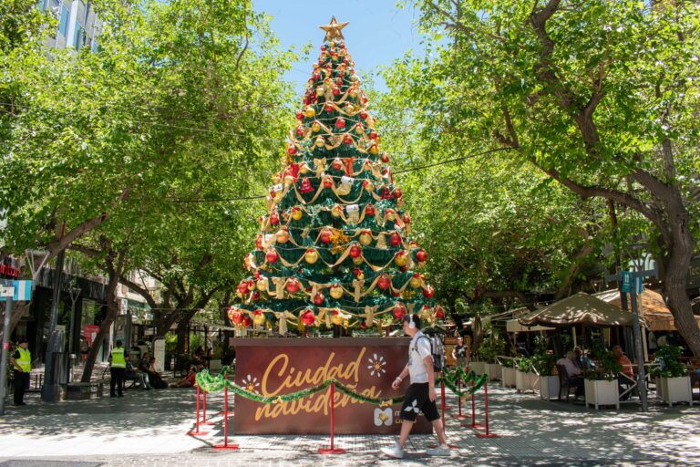 Con dos pinos como símbolo, la Ciudad de Mendoza da inicio a la magia de la Navidad