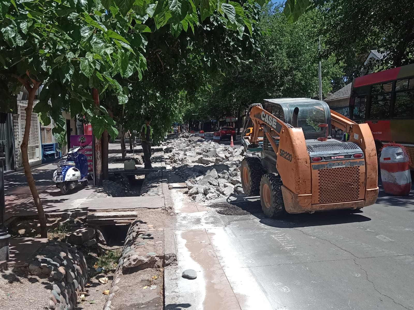 WhatsApp Image 2025-12-15 at 16.51.03