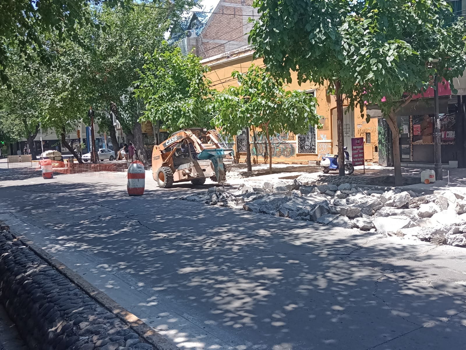 WhatsApp Image 2025-12-15 at 16.51.06