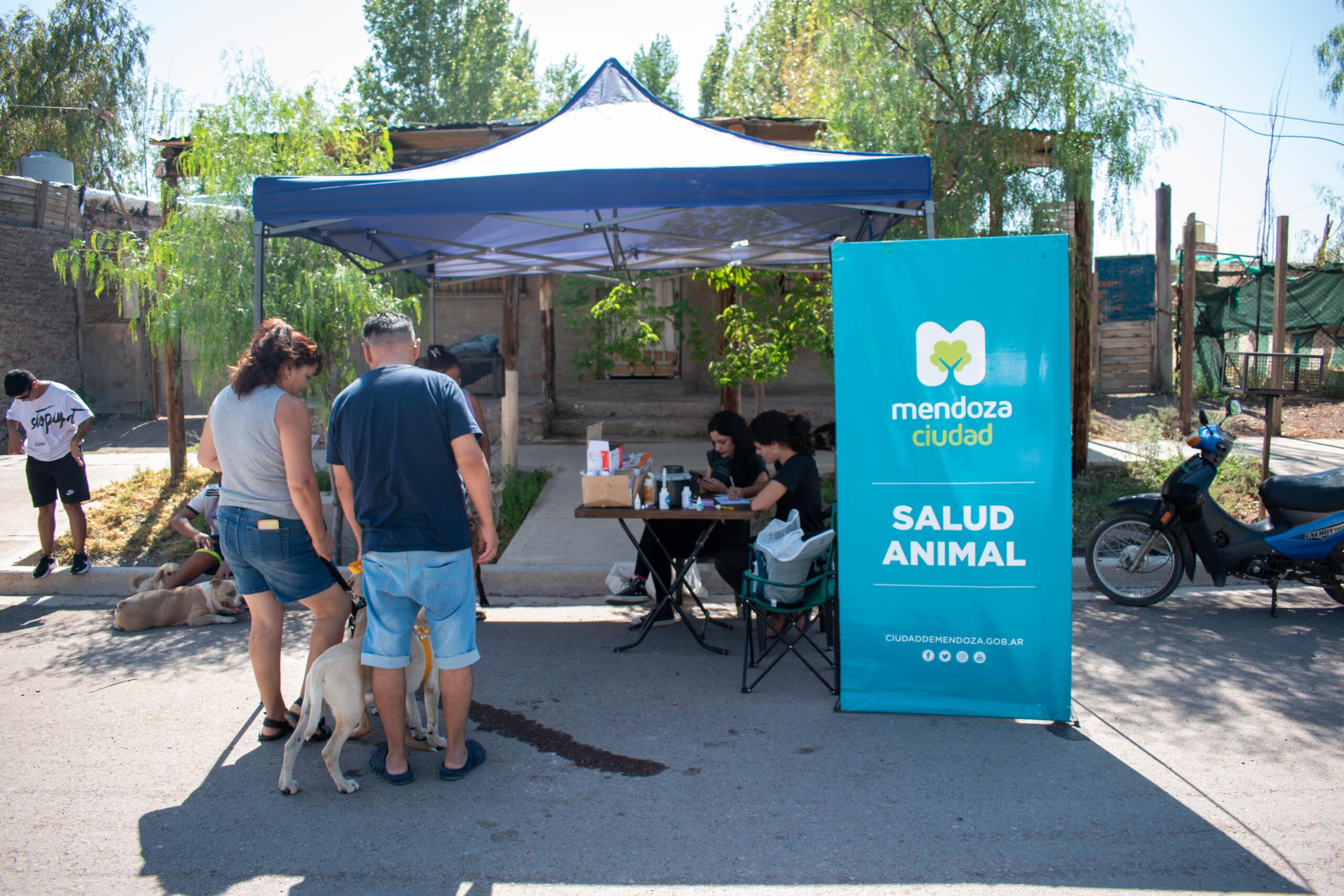 <b>Error:</b> can't render field data in the current format. You can try "Get child value" callback. Available children: rendered. Or one of array-related callbacks - "Multiple select field values", "Checkbox field values", "Checked values list" etc