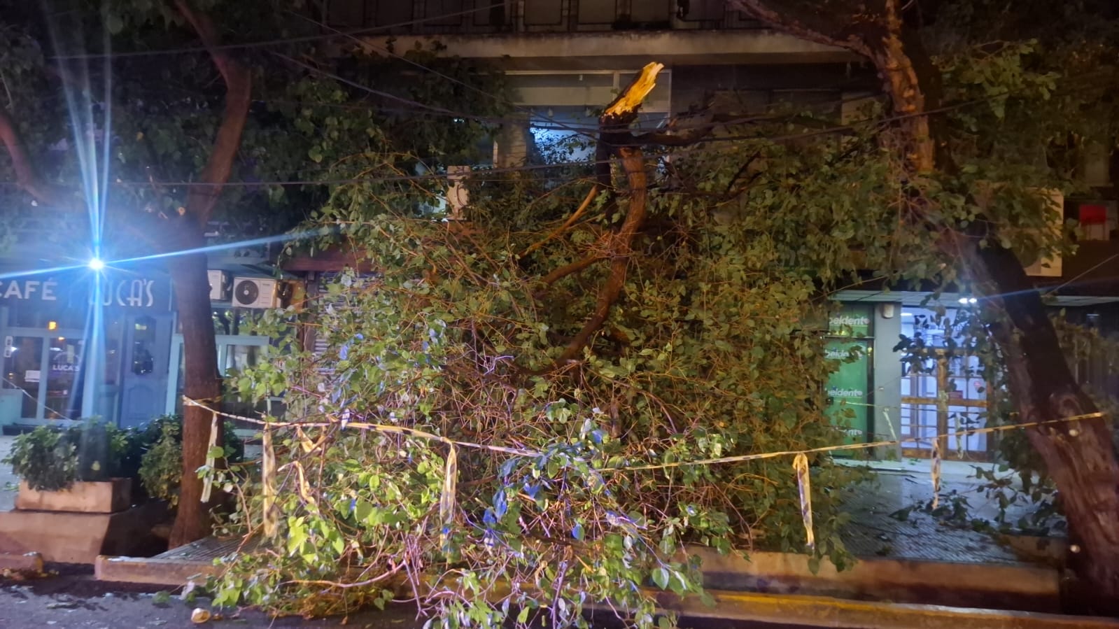 WhatsApp Image 2026-01-24 at 2.23.27 AM