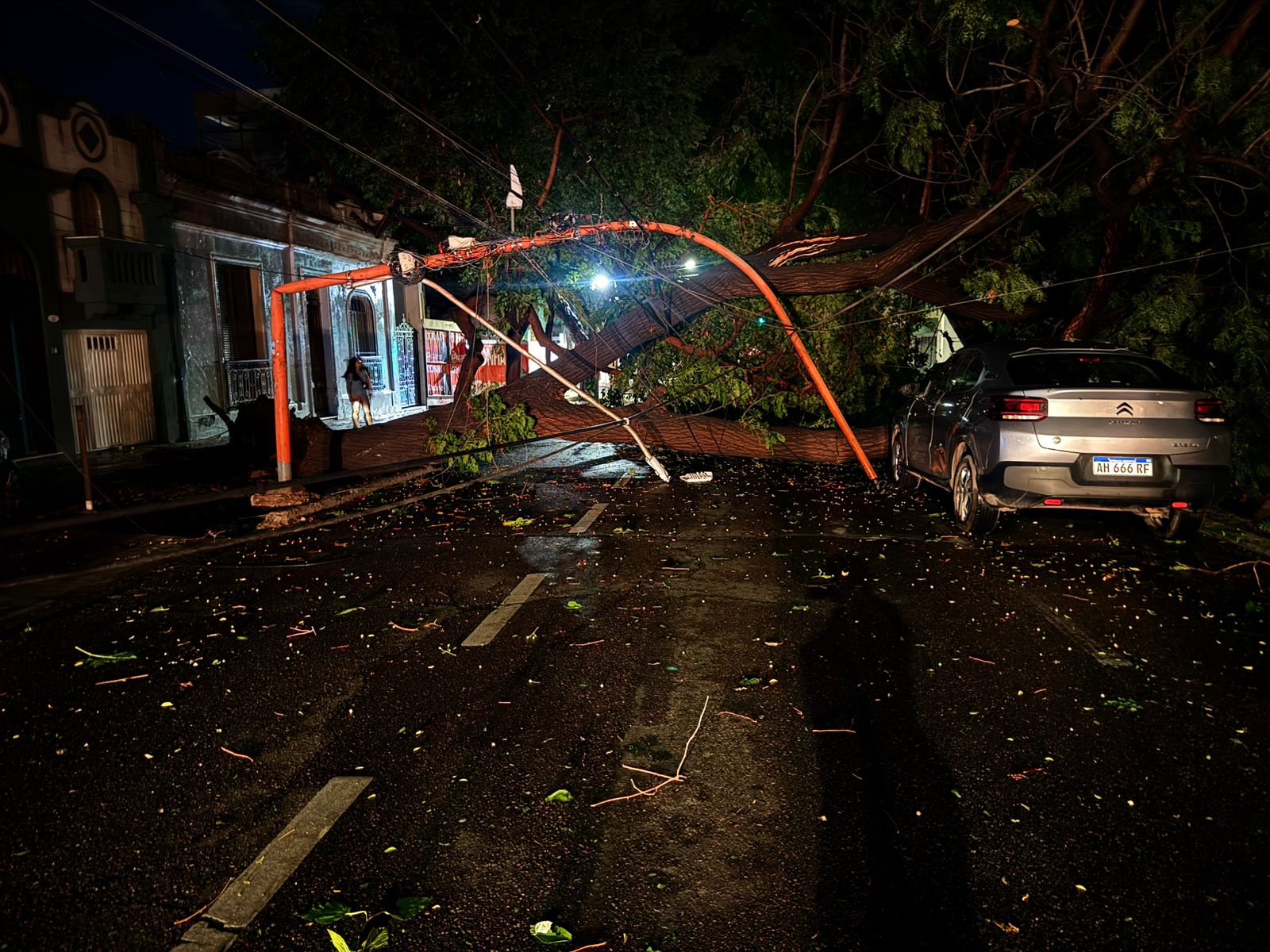 WhatsApp Image 2026-01-24 at 7.41.15 AM